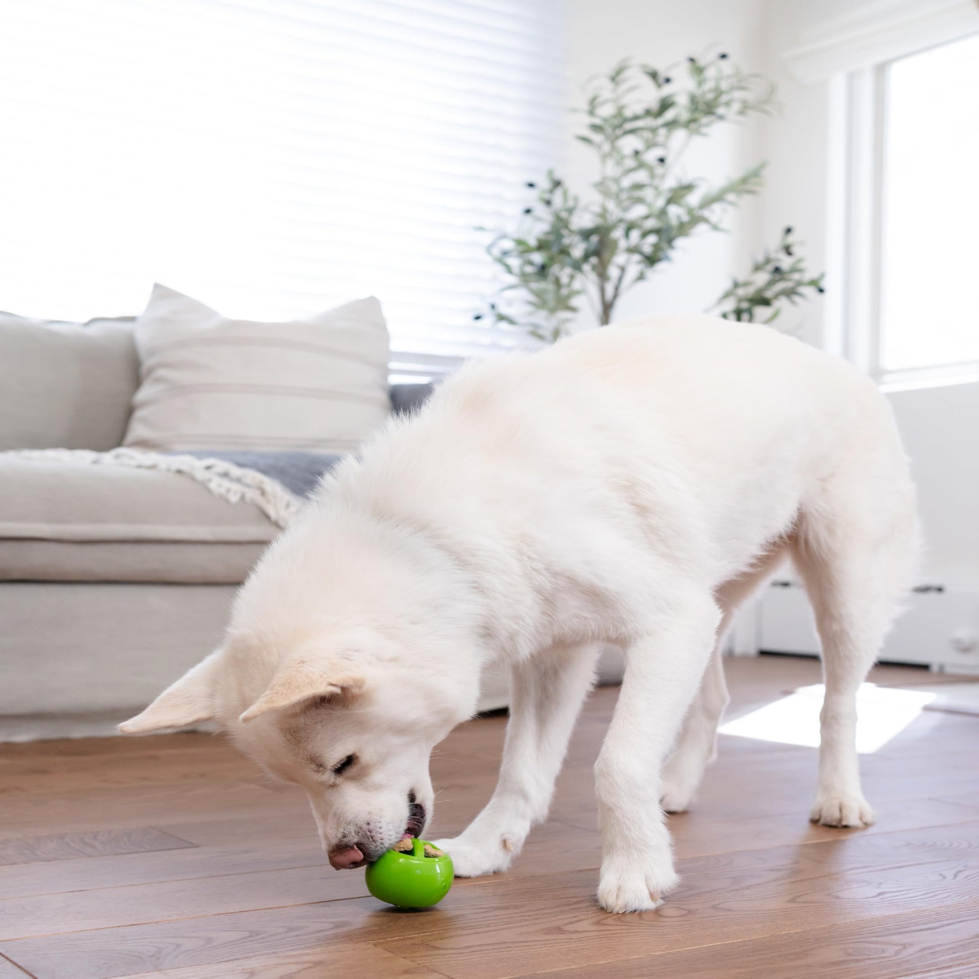 Juguete para Perros Planet Dog Orbee-Tuff Nooks Verde OS