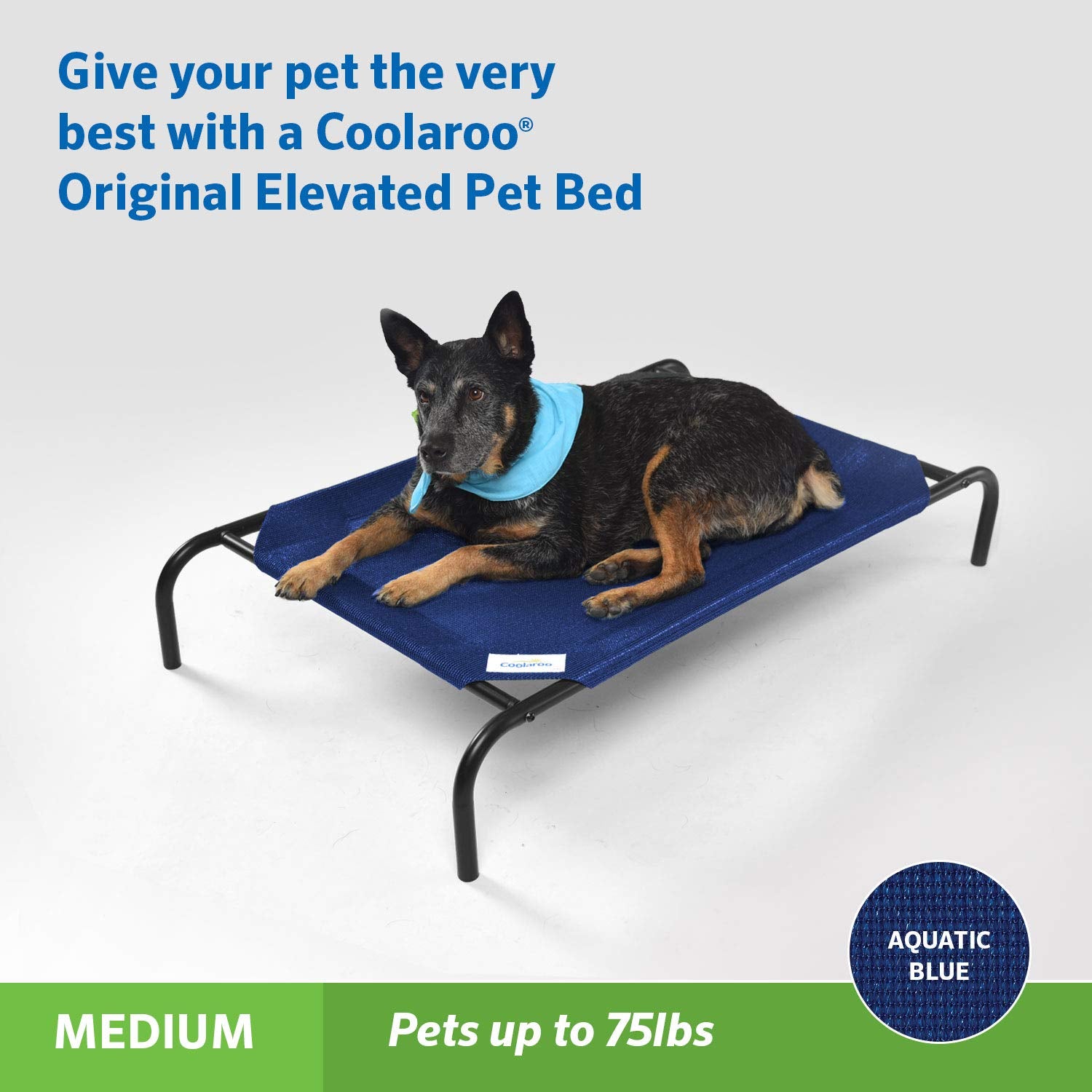 Coolaroo - La Cama elevada Original para Mascotas, tamaño Mediano, Color Azul acuático (Aquatic Blue)