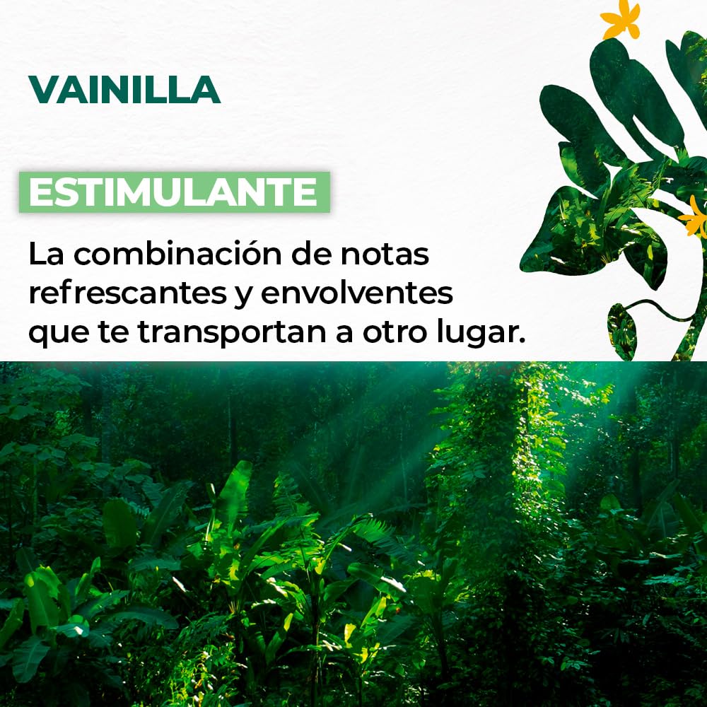 Yves Rocher | Set Eco-Refill Gel de Ducha Vainilla | Apato para todas las pieles | Fórmula Vegana | Incluye 2 Geles | 600 ml c/u