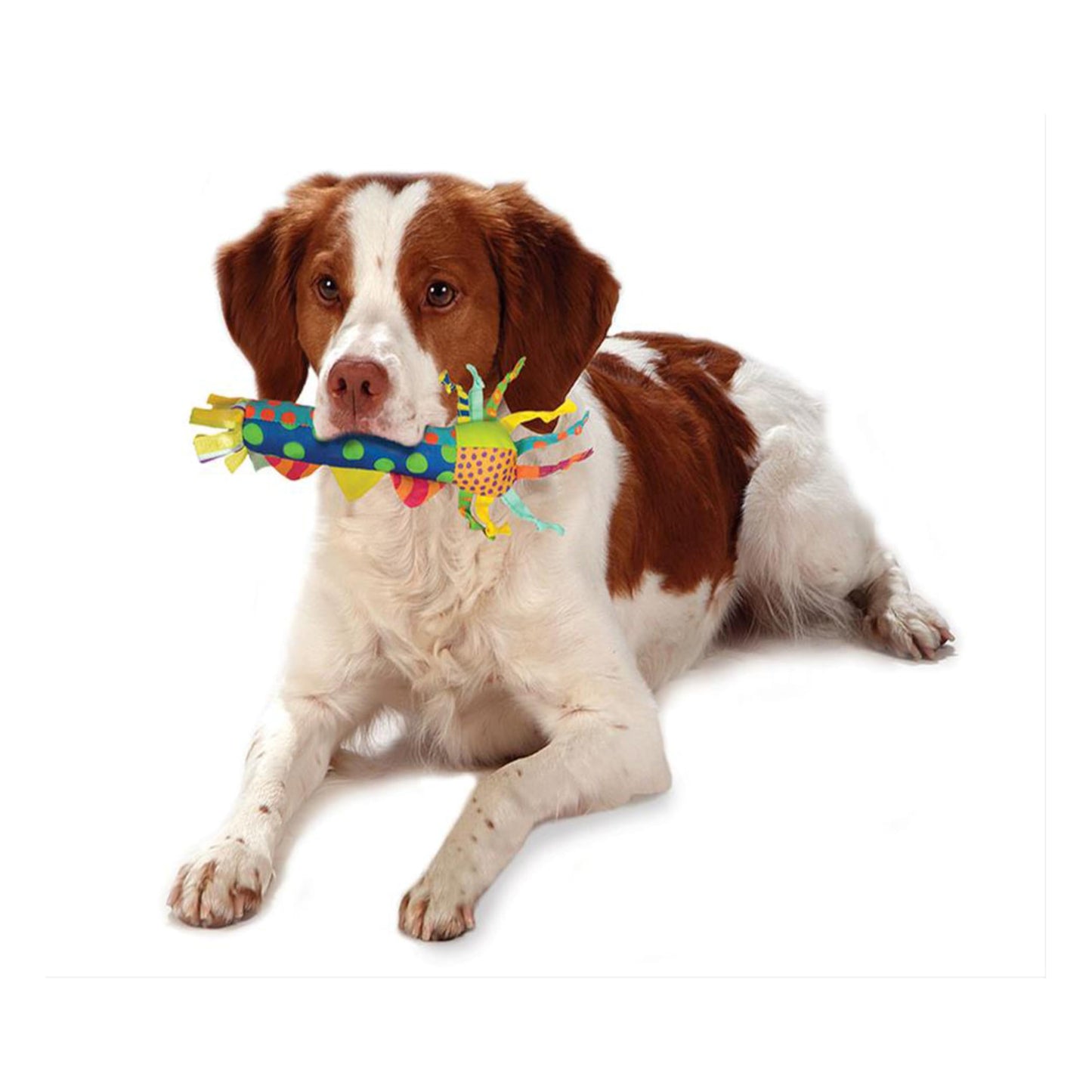 Juguete para Perros Pet Stages Azul Cool Teething Stick