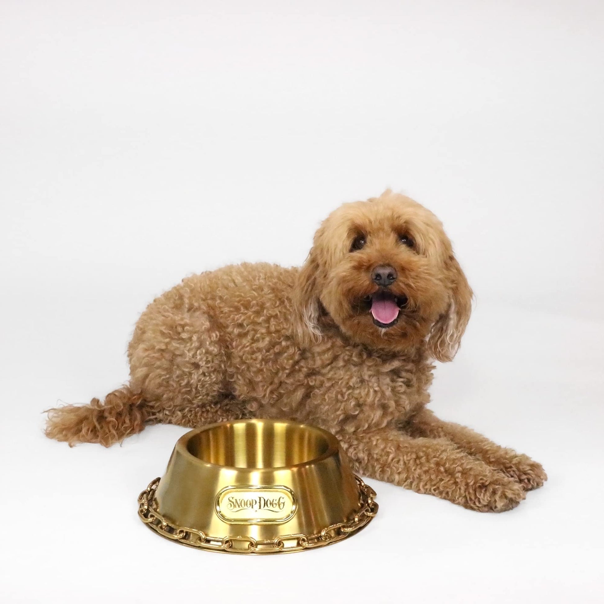 Tazón Pequeño para Mascotas Snoop Doggie Doggs Dorado Deluxe