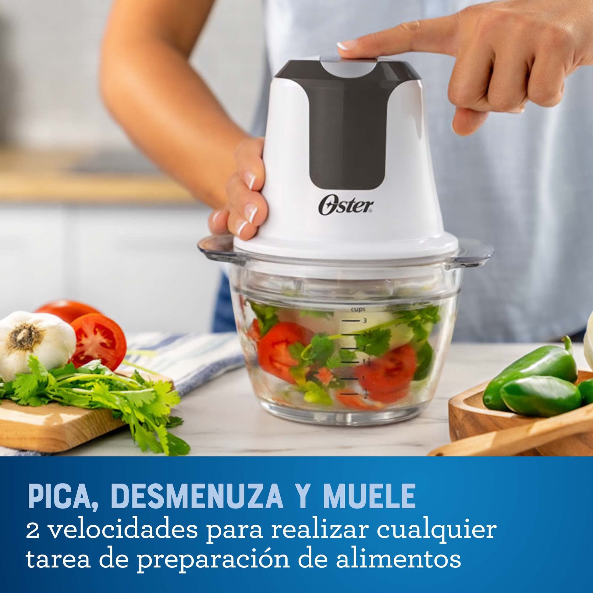 Procesador de Alimentos Oster Negro Compacto con 200 Watts de Potencia