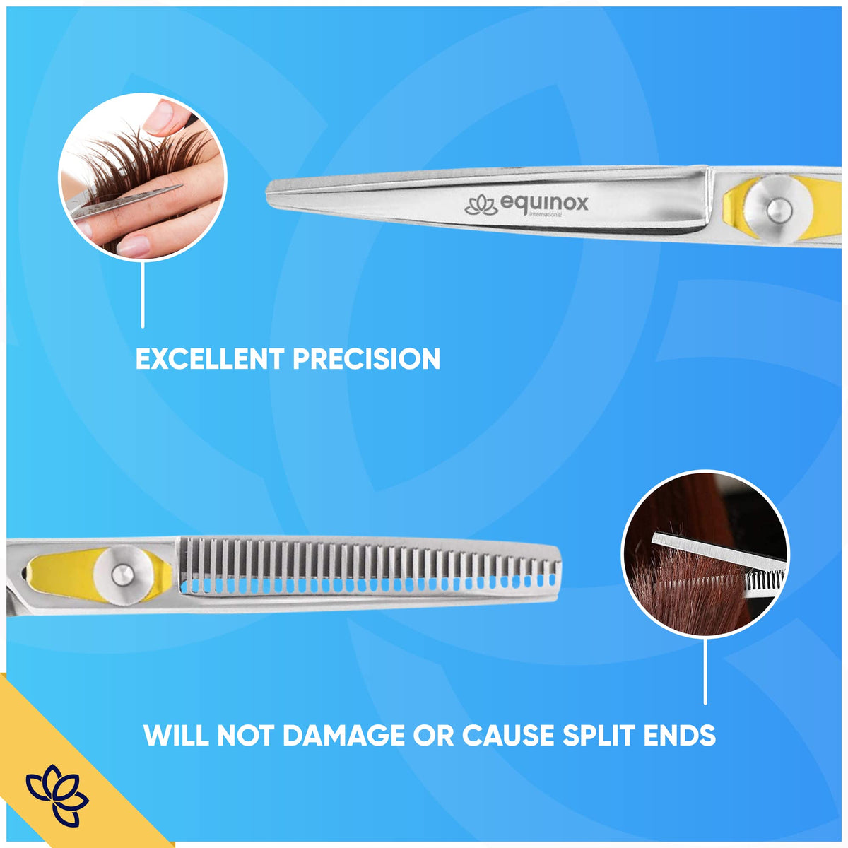 Equinox Professional Razor Edge Series - Hair Cutting and Thinning/Texturizing Scissors/Shears Set - 6.5 Overall Length with Fine Adjustment Tension Screw - Japanese Stainless Steel by Equinox International