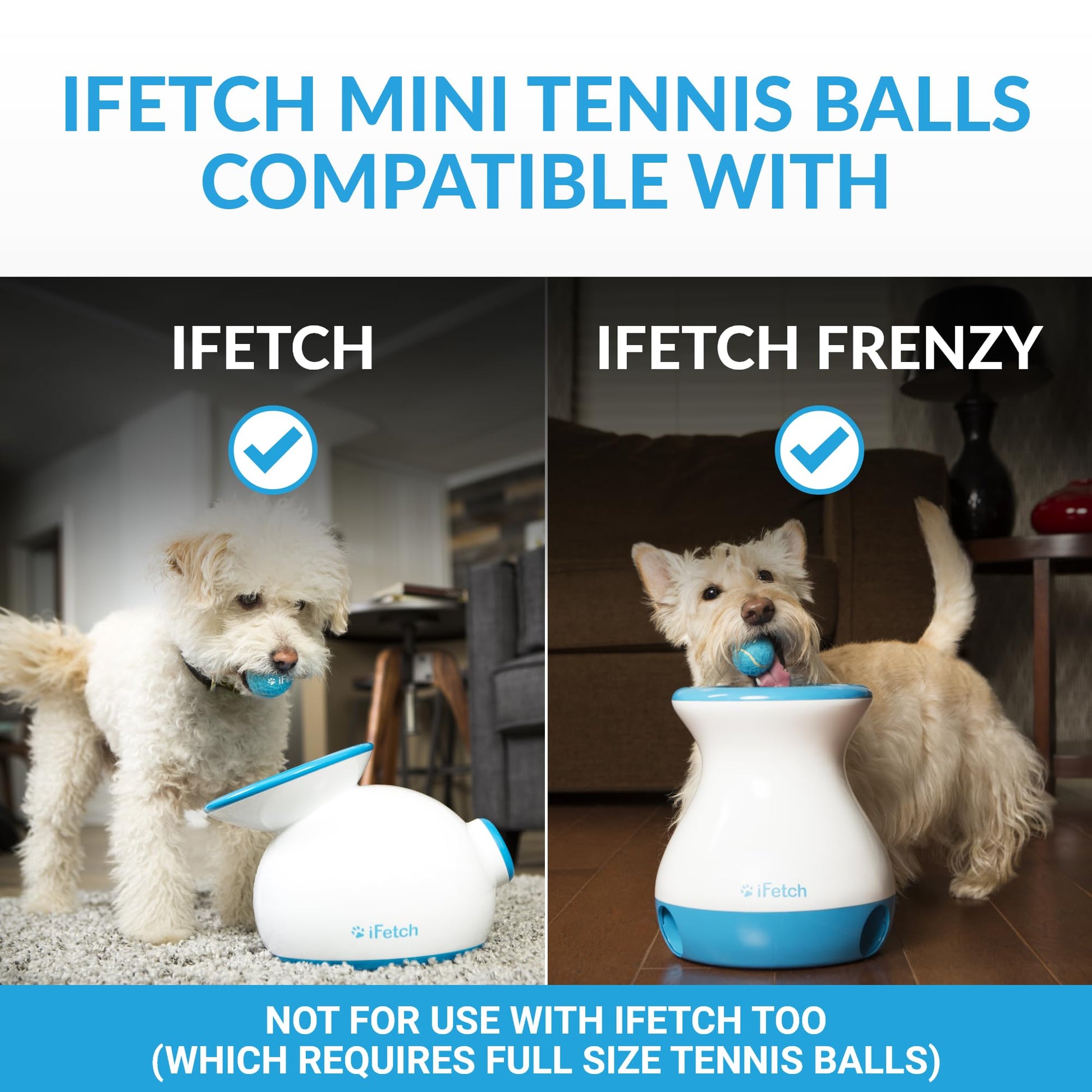 iFetch Mini Pelotas de Tenis, pequeño
