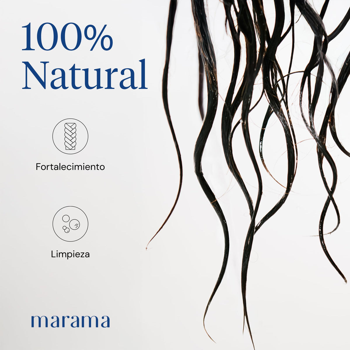 MARAMA | Clarity Shampoo sin Parabenos - Herbal Shampoo - 500 ml | Fortalece - Tratamiento para Pelo Maltratado - Anticaspa - Anti Frizz Cabello | Vegano - Cruelty-Free