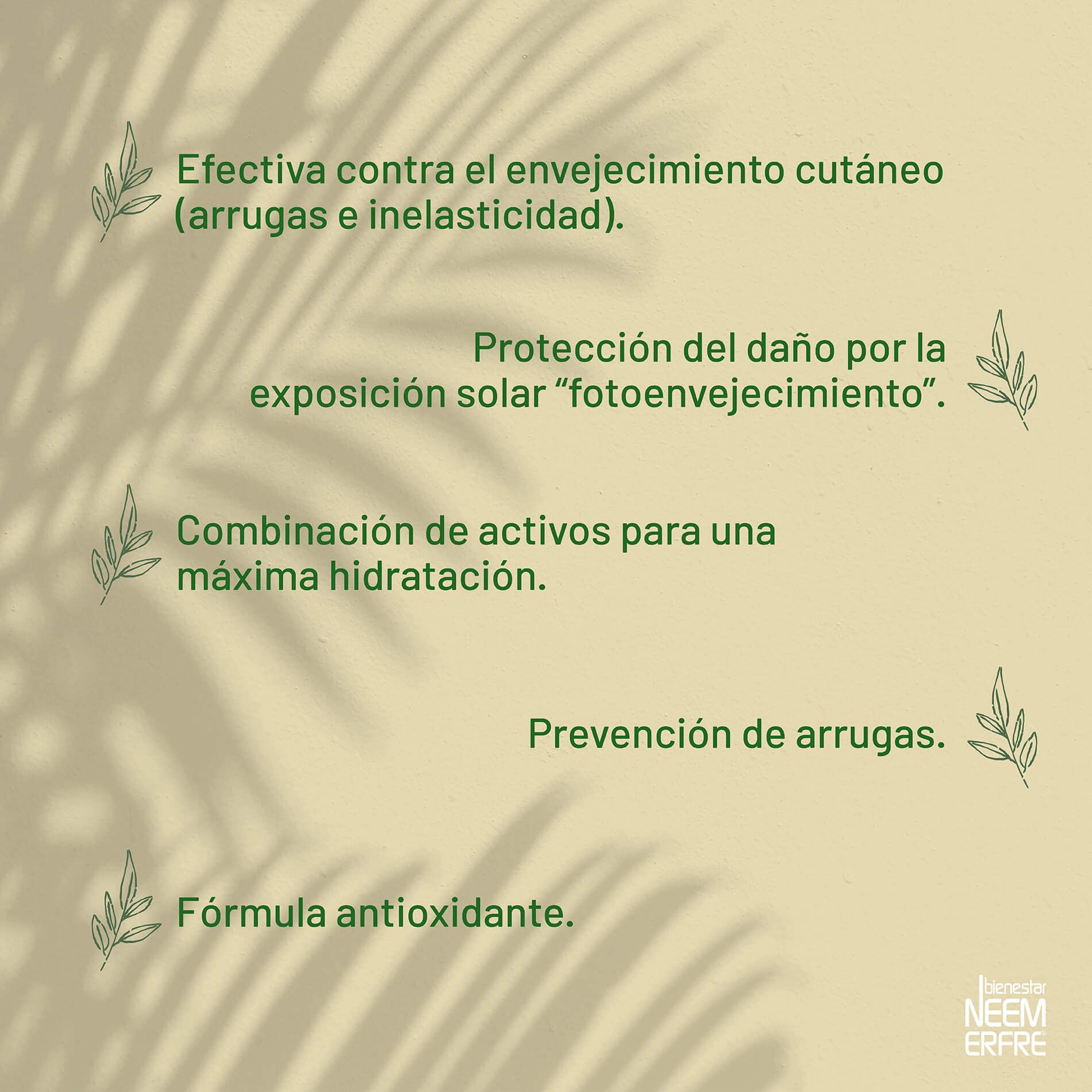 bienestar NEEM ERFRE Serum de Ácido Hialurónico al 1.5% + Coenzima Q10 + Escualano + extracto de orquídea | 93% ingredientes de origen natural | Hidrata y revitaliza tu piel, rápida absorción | 60ml (Paq de 2)