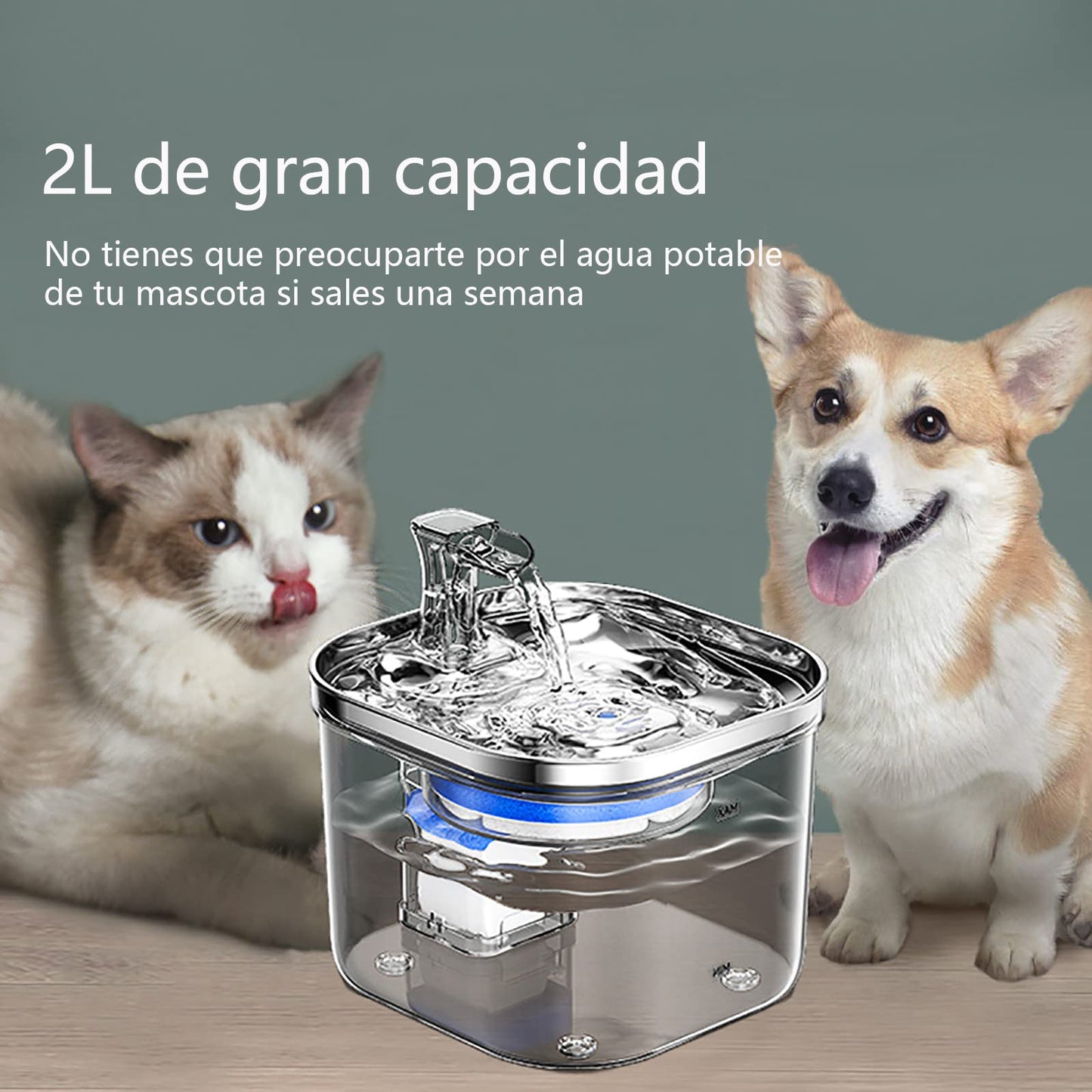LKUWEE Bebedero para Gato, 304 Acero Inoxidable Fuente para Gato, 67oz/2 L, Ultrasilencioso y Sistema de Filtración de Agua Circulante de Fuente de Agua para Gatos, Dispensador de Agua para Perro