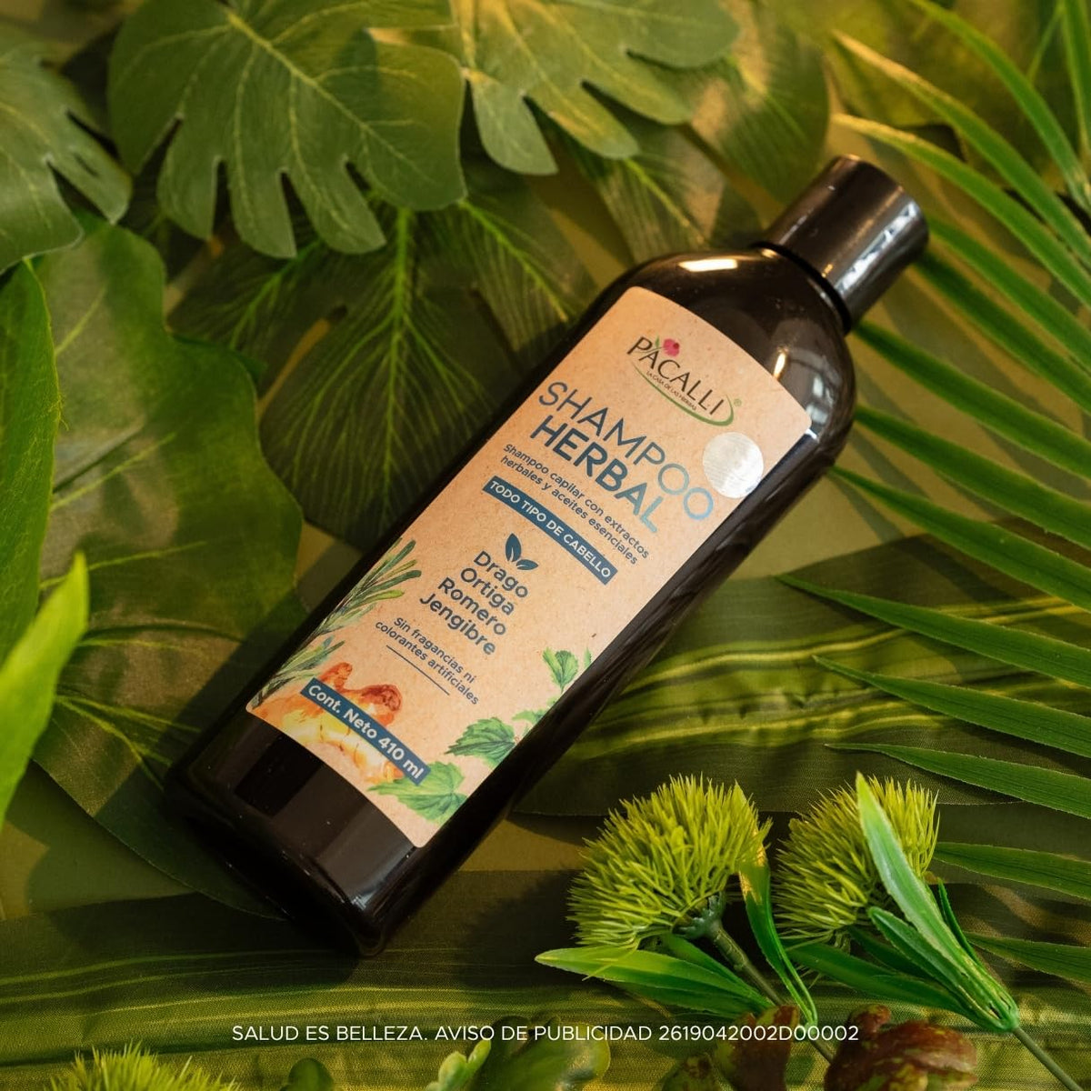 Shampoo Herbal PACALLI 2 Pack Con Jengibre, Romero, Sangre de Drago y Ortiga Ingredientes de origen natural
