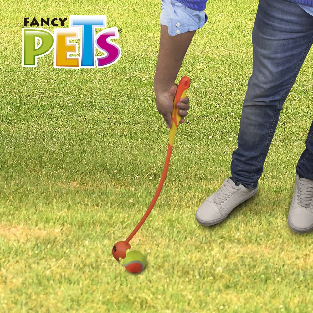 Juguete Lanzador de Pelota Fancy Pets Azul Tamaño Grande para Perro