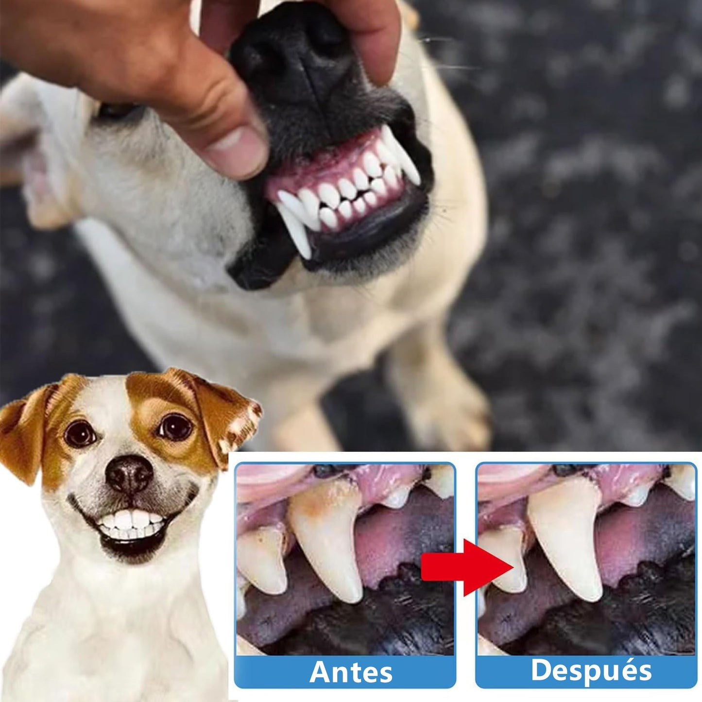 Cepillo Dientes para Perros Kit de Limpieza Sabor a Carne Res para Control de Sarro y Placa