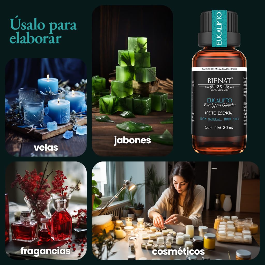 BIENAT AROMATERAPIA Aceite Esencial de Eucalipto 30mL | 100% Puro y Concentrado | Ideal para Difusor de Aromas, Humidificador, Aromaterapia, Masajes, Meditación, Jabones y Velas | Esencia Natural en Gotas