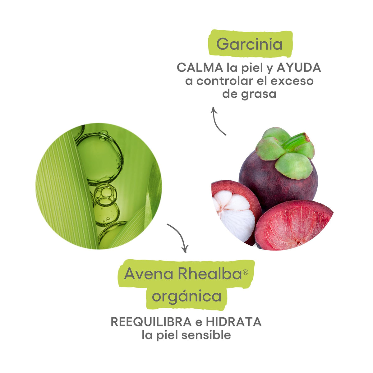 ADERMA, Biology AC Gel Limpiador Purificante, Para Piel Mixta a Grasa con Tendencia Acnéica, 400 ml