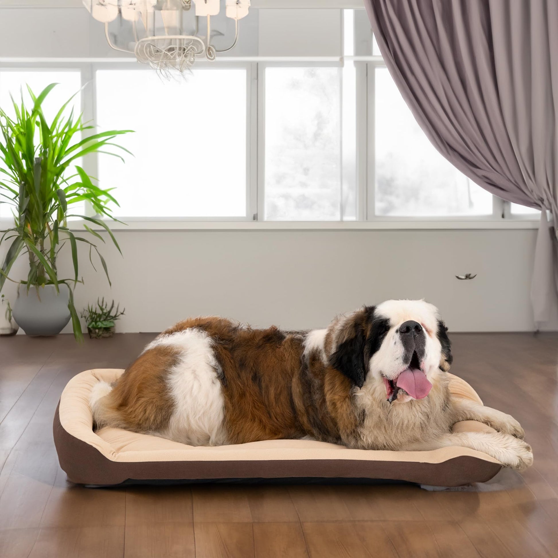 Cama para Perro PETS APPAREL HILLS Cafe Beige Resistente y Confortable XX-Large