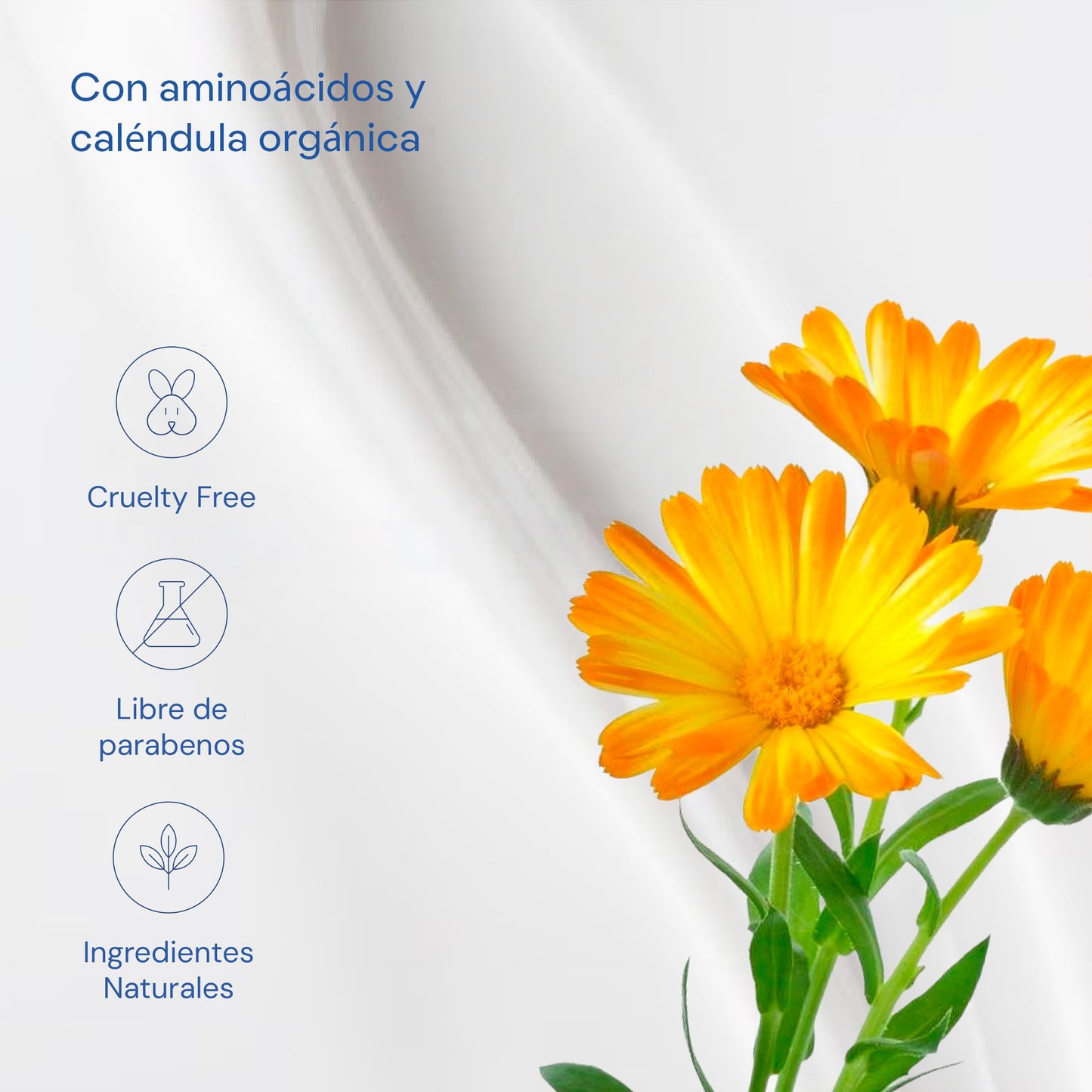 MARAMA | Protect Acondicionador Para Cabello Teñido 500 ml - Contiene Aminoácidos y Caléndula Orgánica | Acondicionador Sin Sulfatos y Parabenos