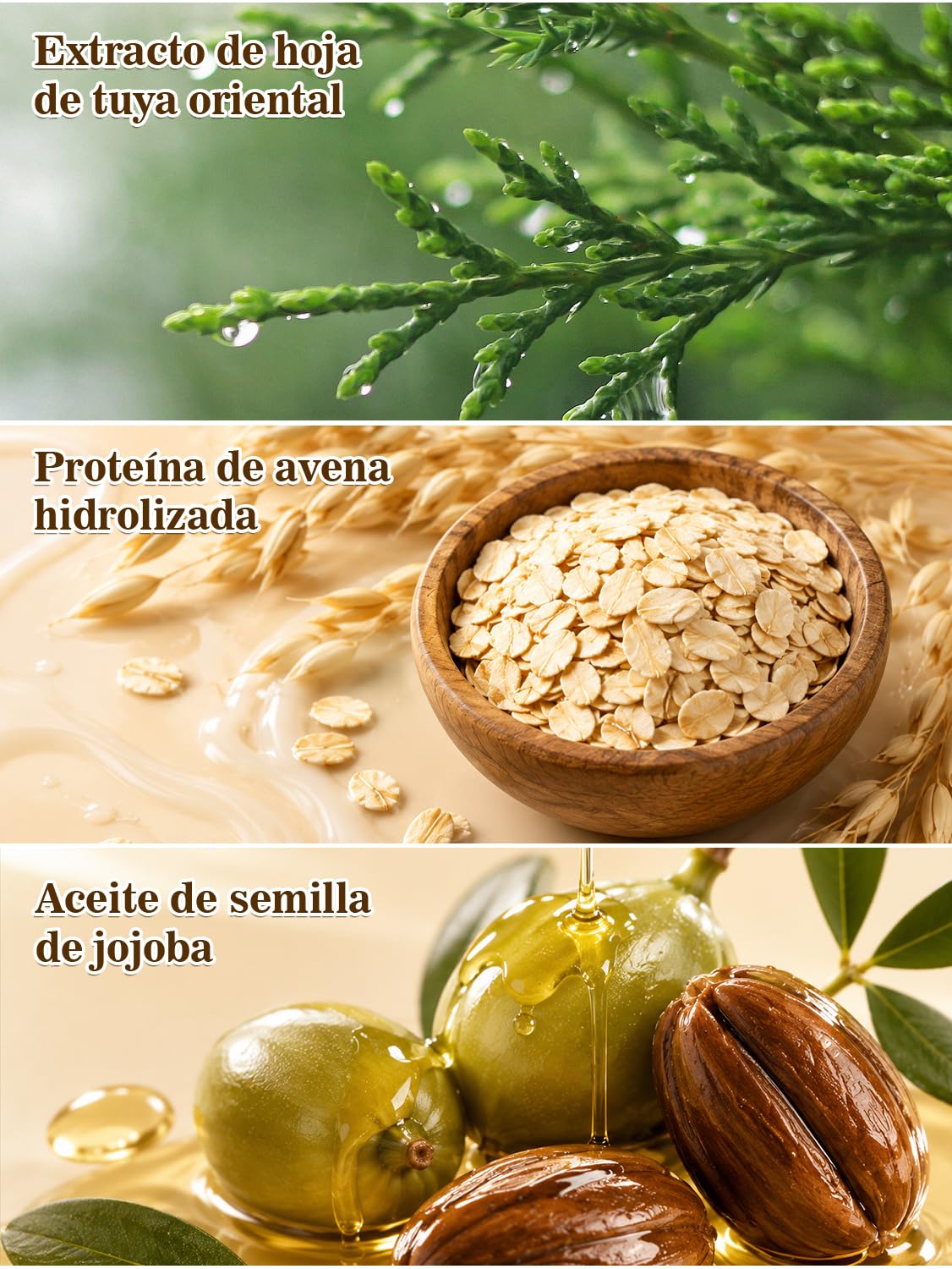 Champú Anticaída con Ginseng y Jengibre para Todo Tipo de Cabello