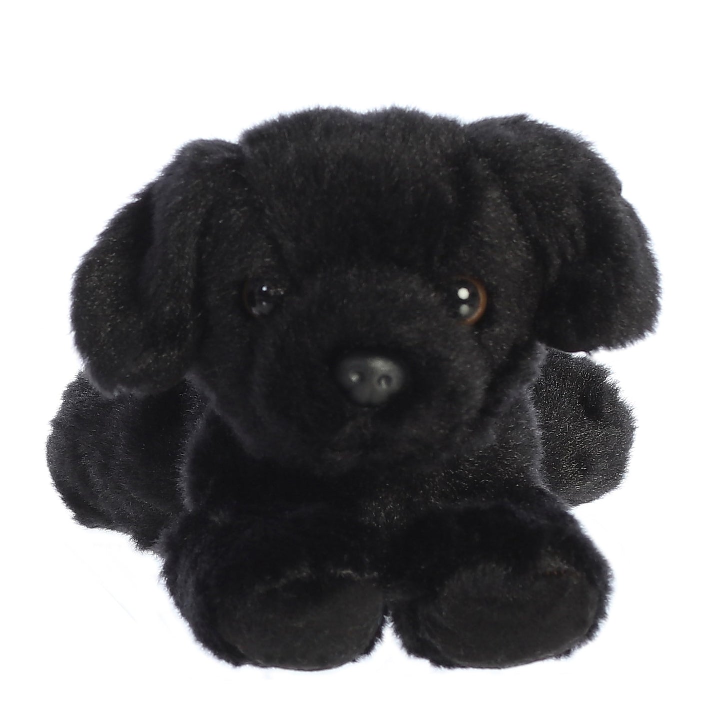 Peluche Aurora Blackie 20.32cm Mini Flopsie