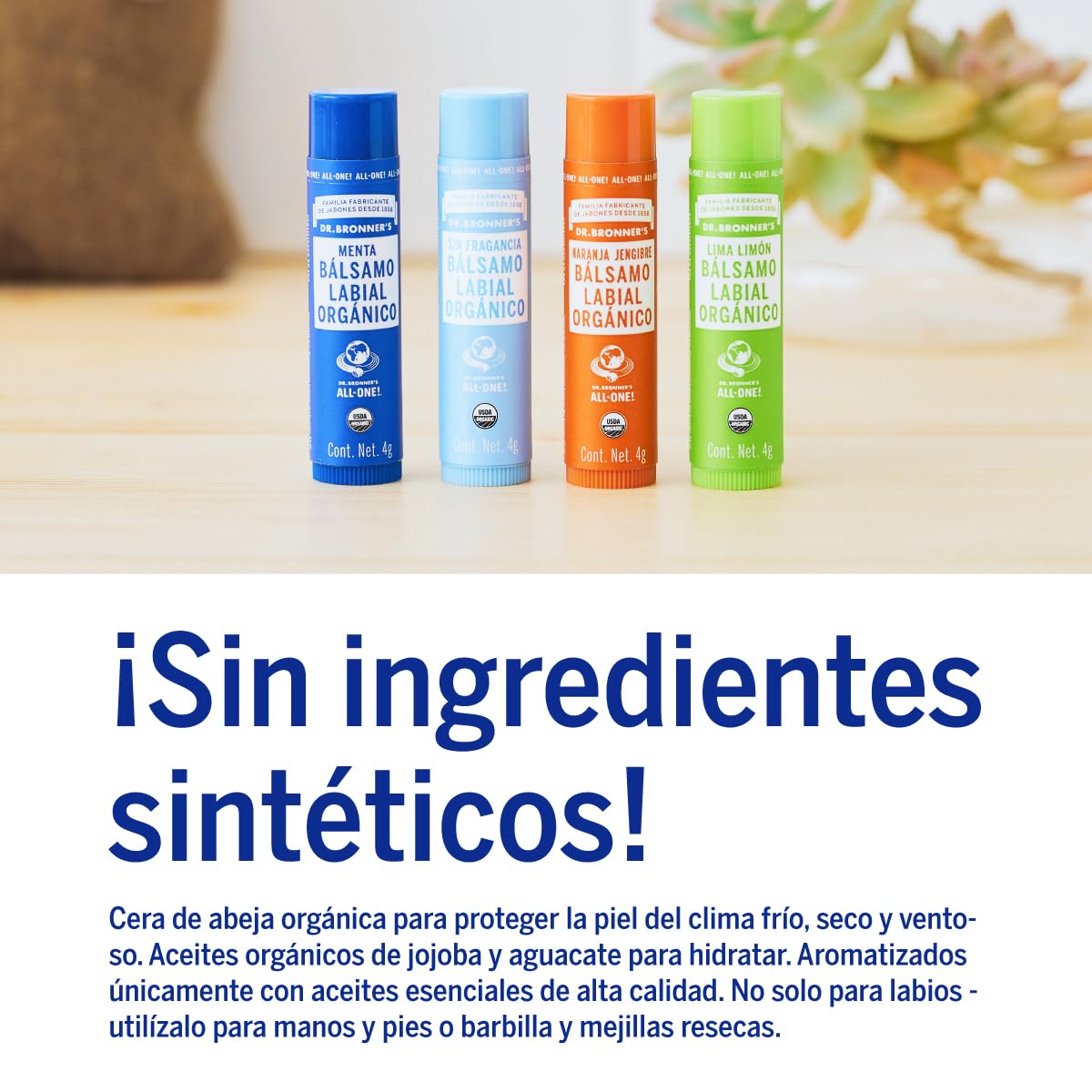 Dr. Bronner's Bálsamo Labial Orgánico Menta, Fórmula Hidratante y Refrescante con Aceites Esenciales, Pack de 6 Unidades