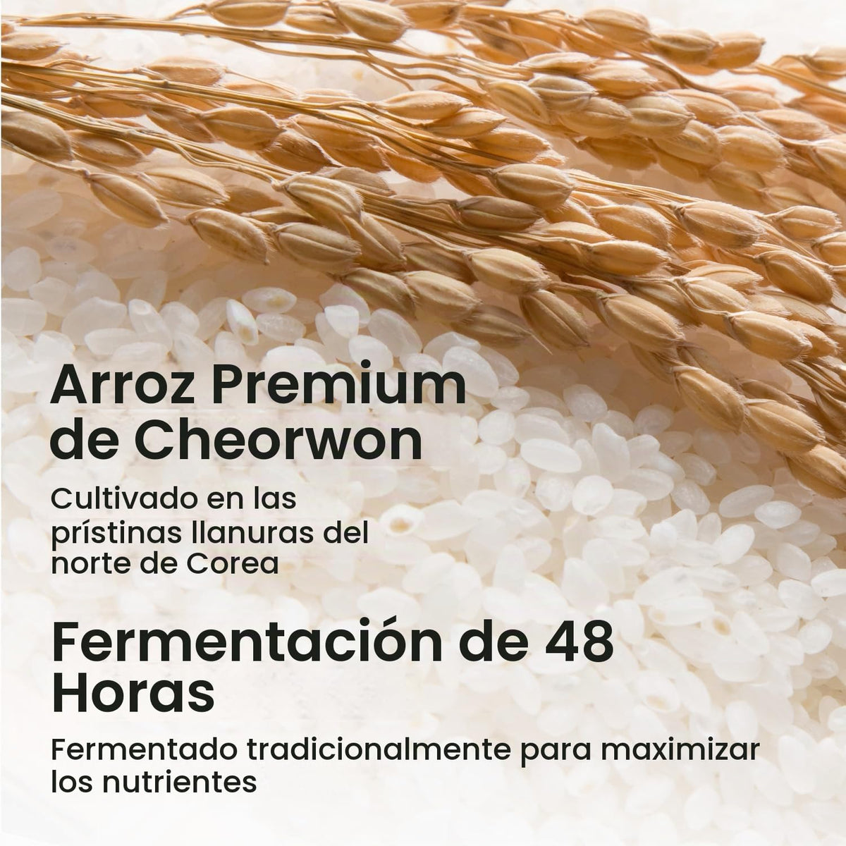 SKIN FOOD Rice Daily Brightening Cleansing Foam 5.07 fl. oz. (150ml) - Delicate Cleansing with Femented Rice Ingredients
