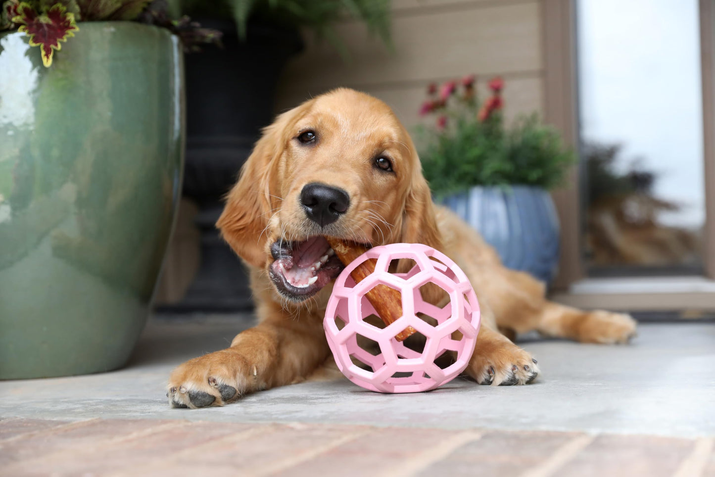 Juguete Bola de Rompecabezas JW Pet Rosa Hule Natural Grande para Perro