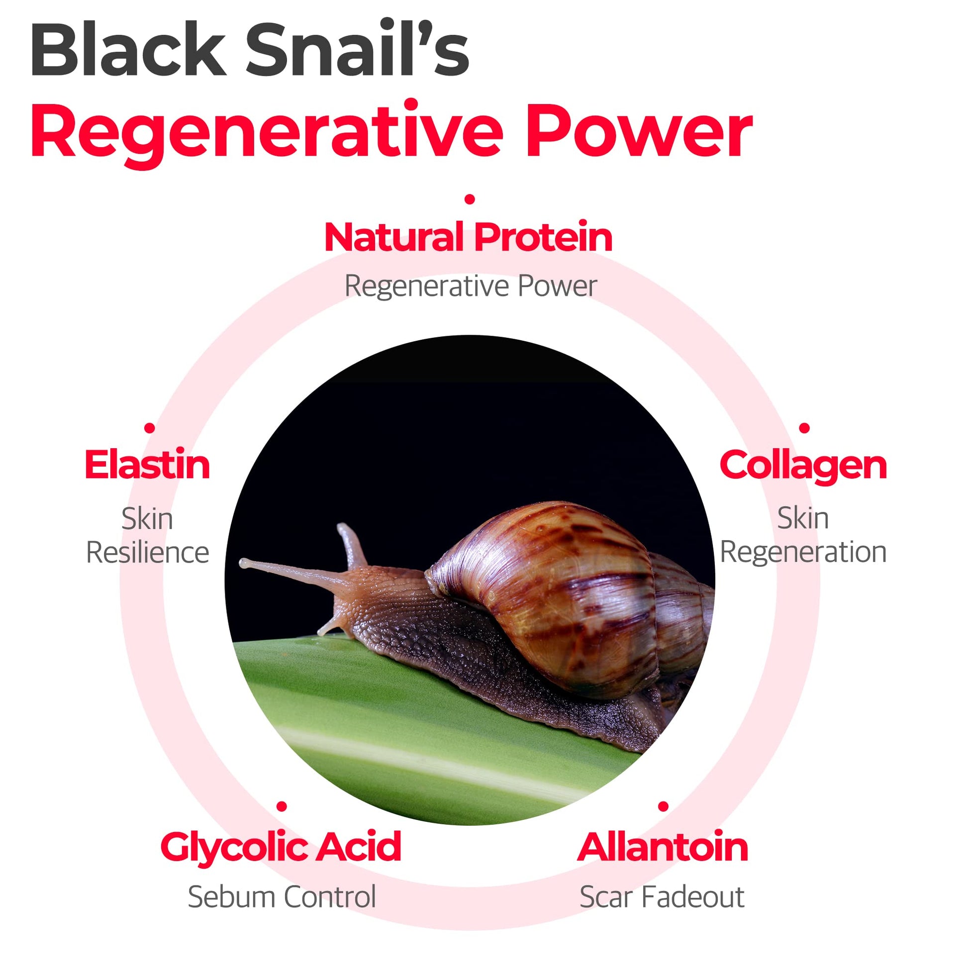 Somebymi Snail Truecica Miracle Repair Serum