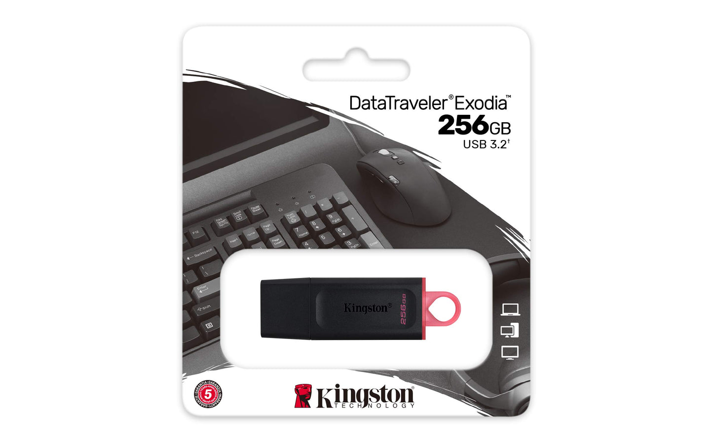 Kingston USB DTExodia 256GB USB 3.2 Gen 1 (DTX/256GB)