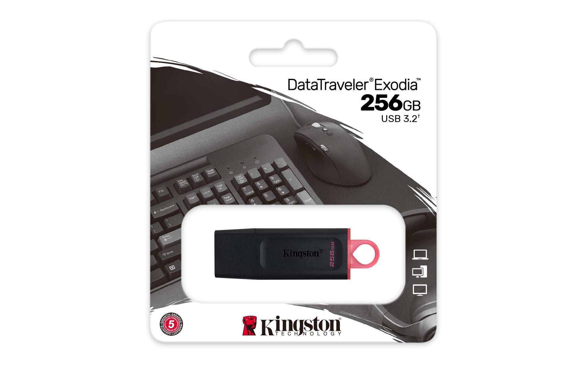 Kingston USB DTExodia 256GB USB 3.2 Gen 1 (DTX/256GB)
