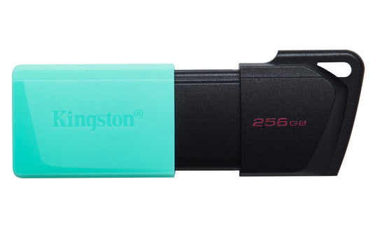 Kingston USB Data Traveler Exodia M, Capacidad: 256GB, USB 3.2 Gen 1 (DTXM/256GB)