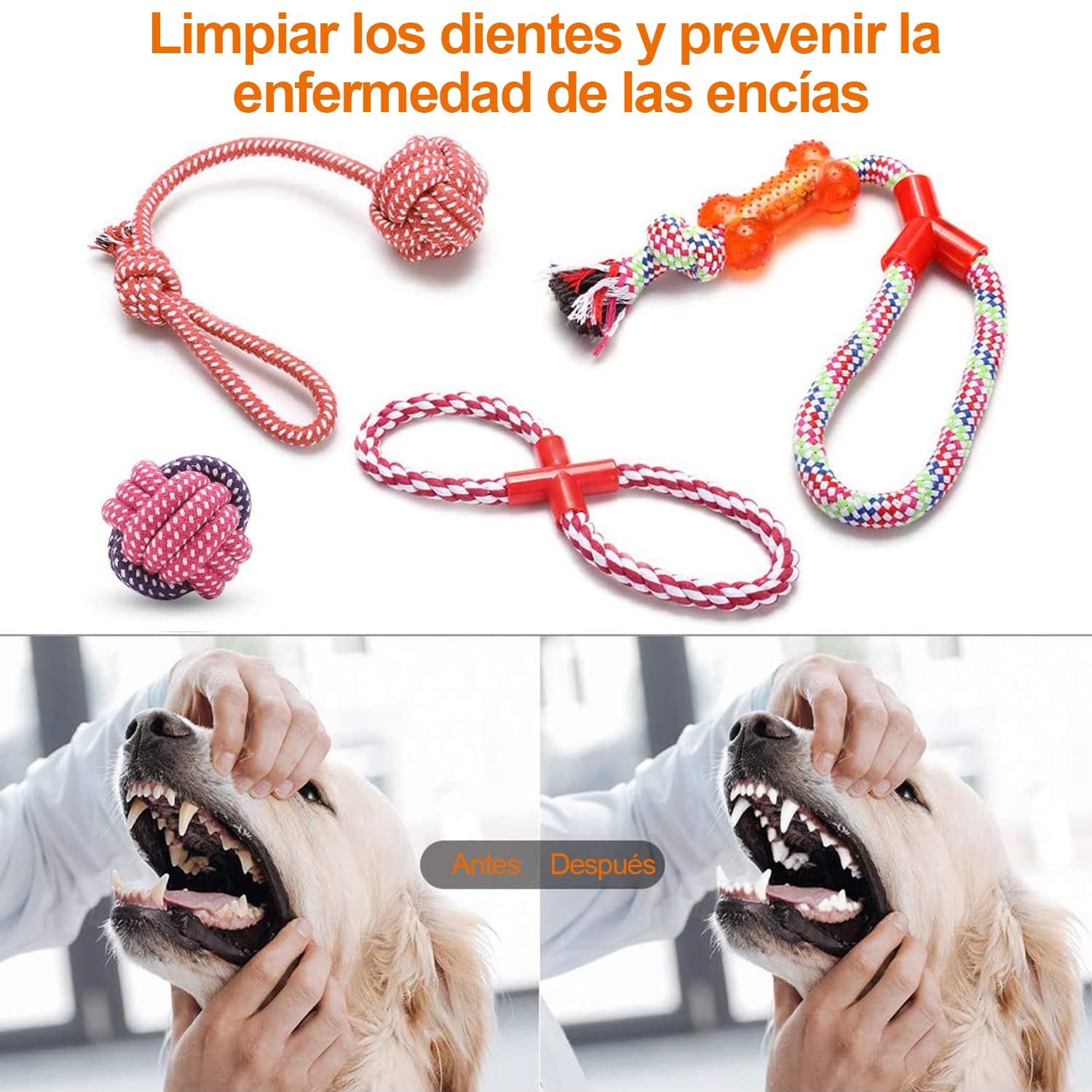 KAMYSEN Contiene 10 Juguetes, Juguete con Correa para Perros, Entrena Dientes de Cachorro para lanzar y Varios Juegos, 100% no tóxico, pequeño Juguete Interactivo para Mascotas de tamaño Mediano.