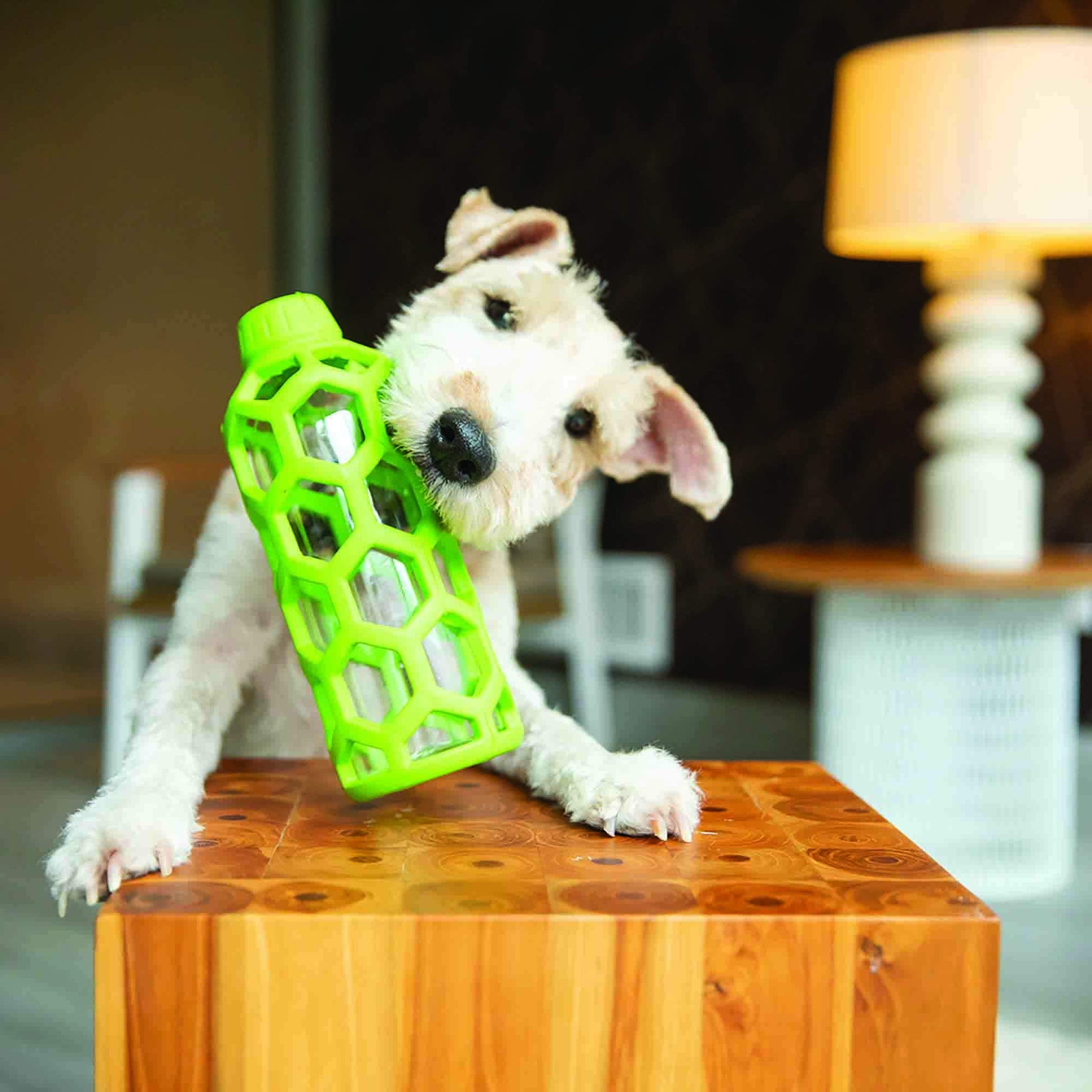 Juguete Masticable JW Pet HOL-EE Mediano para Perro