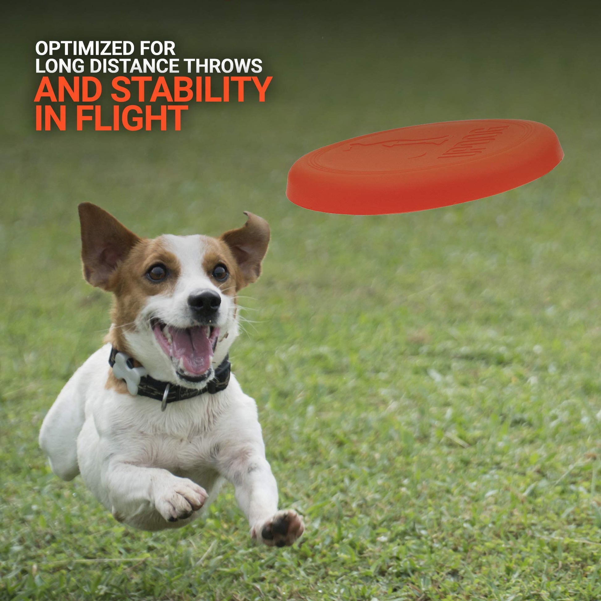 Frisbee para Perro, Fabricado en EE. UU. Productos Updog Pequeño Disco Volador de 15,24 cm para Perros, Anaranjado, 6