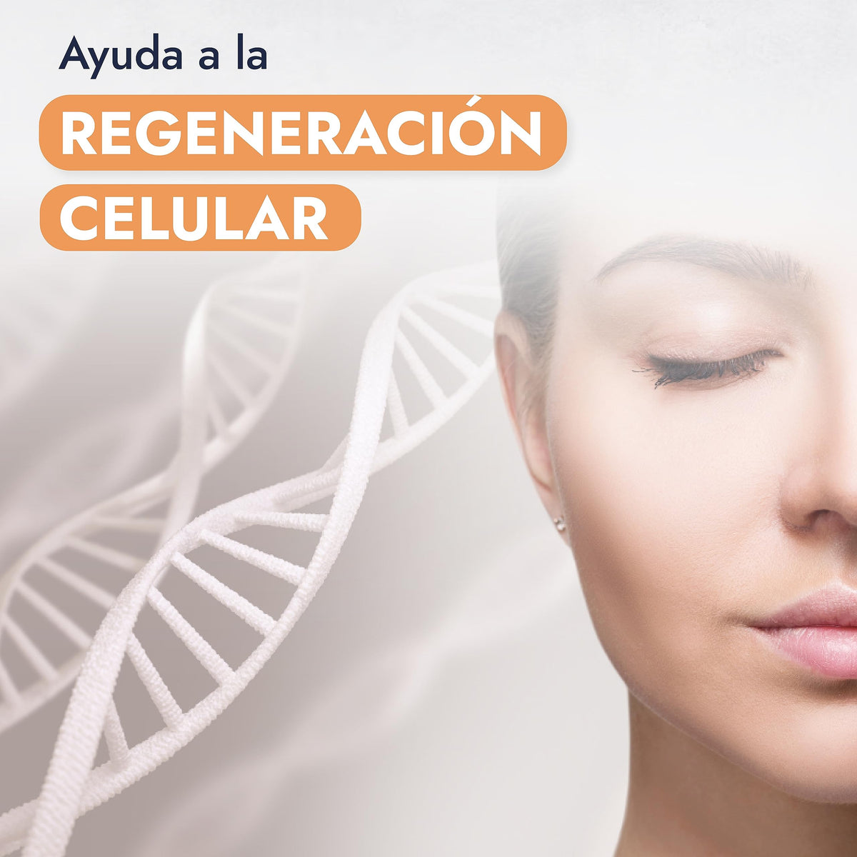 HEBBE Aceite de Germen de Trigo 100 ml | Antioxidante Cosmético | Nutre Piel y Cabello | Apoya Barrera Cutánea | Rico en Vitamina E y D