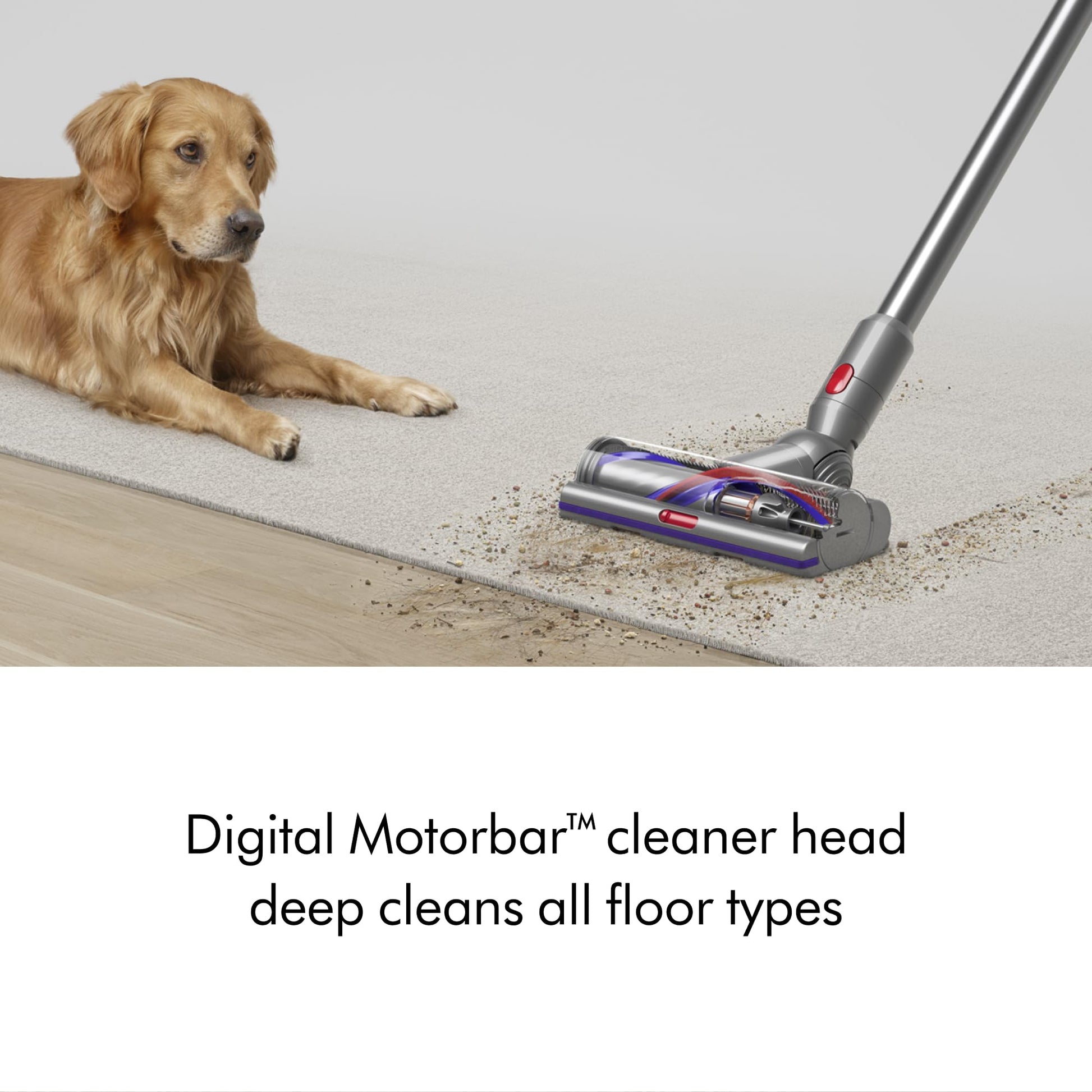 Dyson Aspiradora Inalámbrica V15 Detect Plus