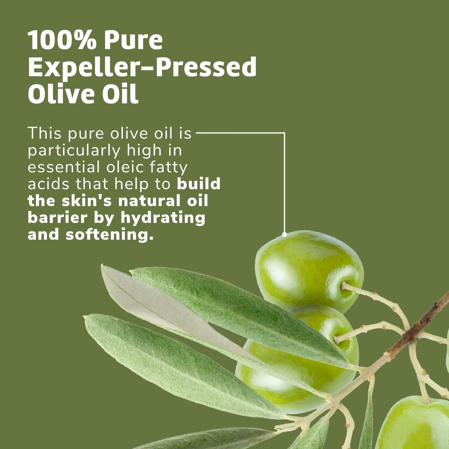 De La Cruz Pure Olive Oil, Non-GMO, Bottled in USA, 2 FL. OZ.