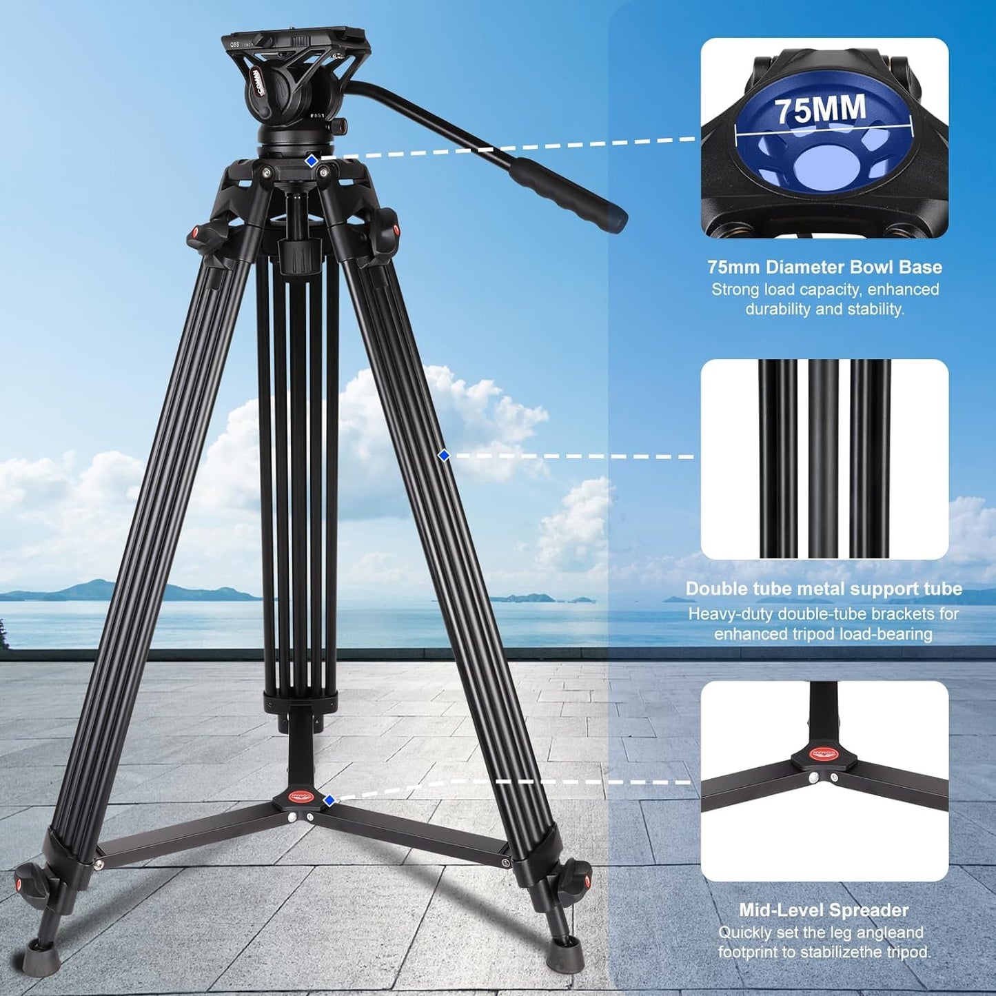 COMAN - Trípode de Video, 74 Pulgadas, Profesional, Resistente, con Placa de liberación rápida y Cabezal de Fluido de 360°, Soporte de trípode de Viaje Alto para DSLR, videocámara, Pata de Tubo Doble