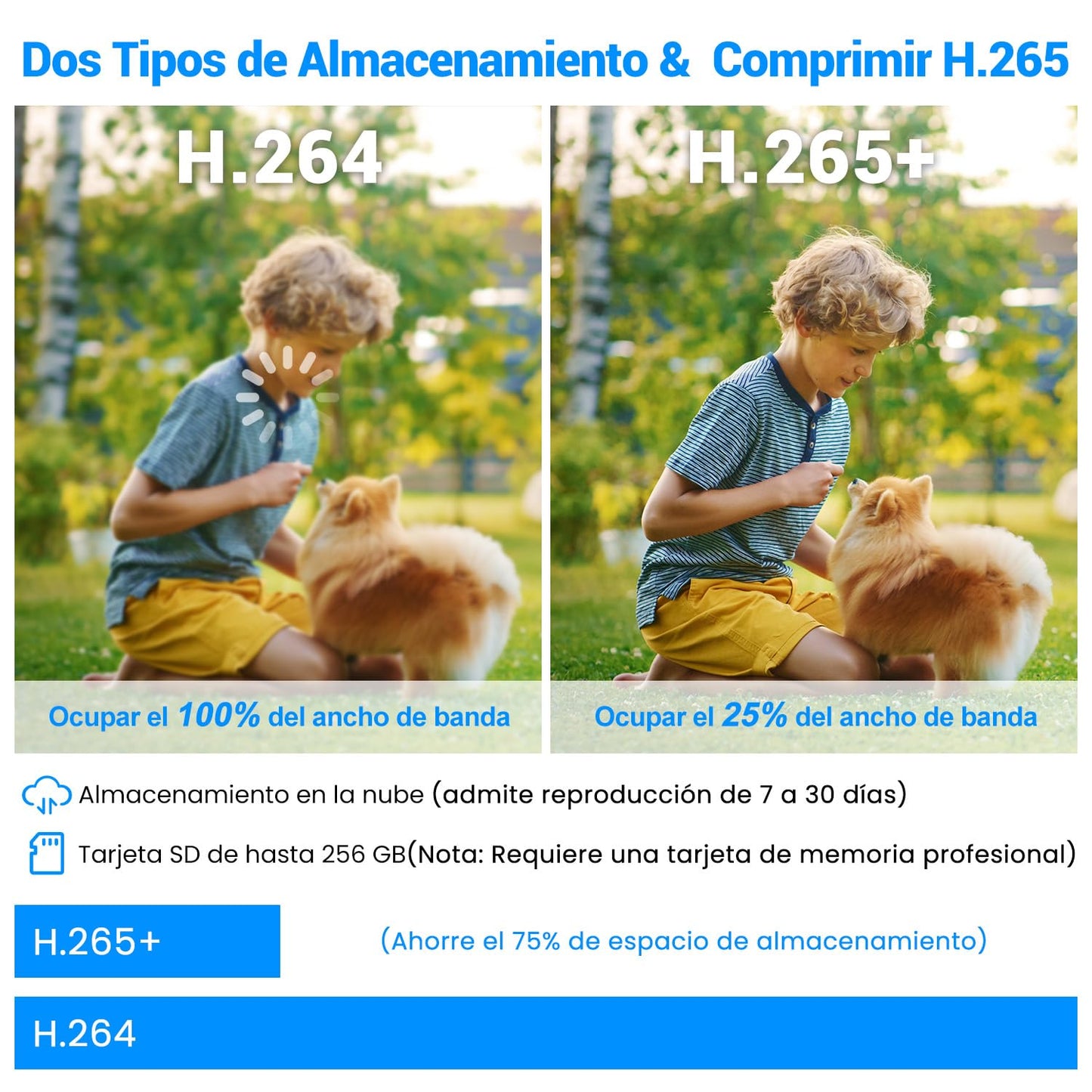 Cámara de Seguridad Exterior EASYTAO 3MP 2K WiFi 5Ghz en Blanco con Panorama 360 Grados Compatible con Alexa