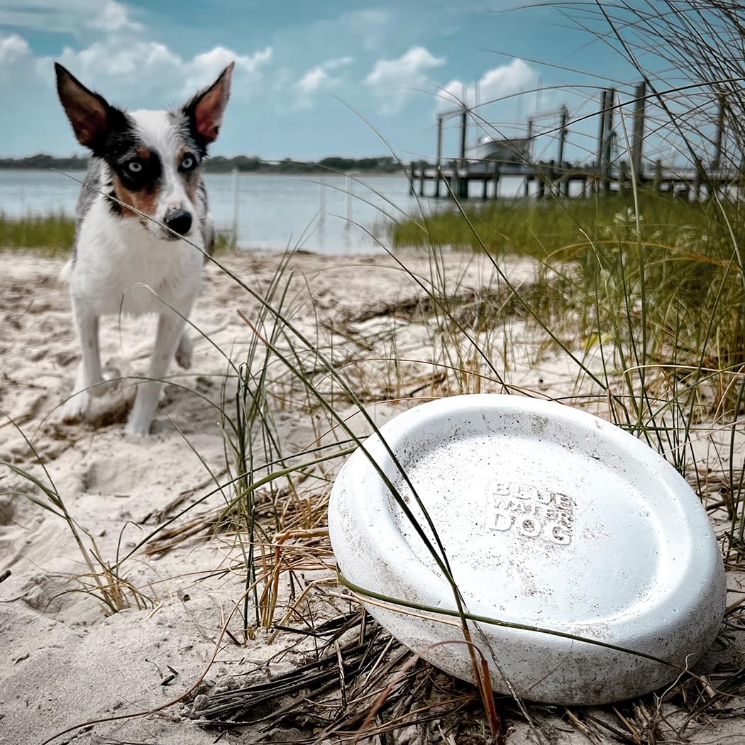 Bluewater - Frisbee para perros, flotante, impermeable, ligero, espuma duradera, disco aerodinámico para perros medianos y grandes, frisbee para atrapar, atrapar, buceo, juego, 8.5 pulgadas (verde azulado)