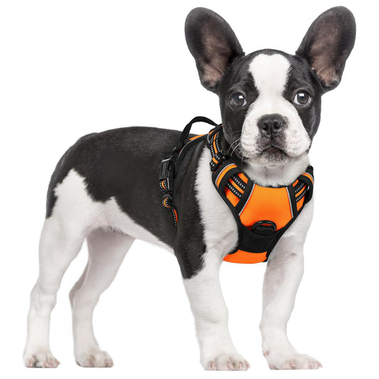 Arnés Perro Rabbitgoo Naranja Reflectante Antitirones Pechera Ajustable Tamaño Grande