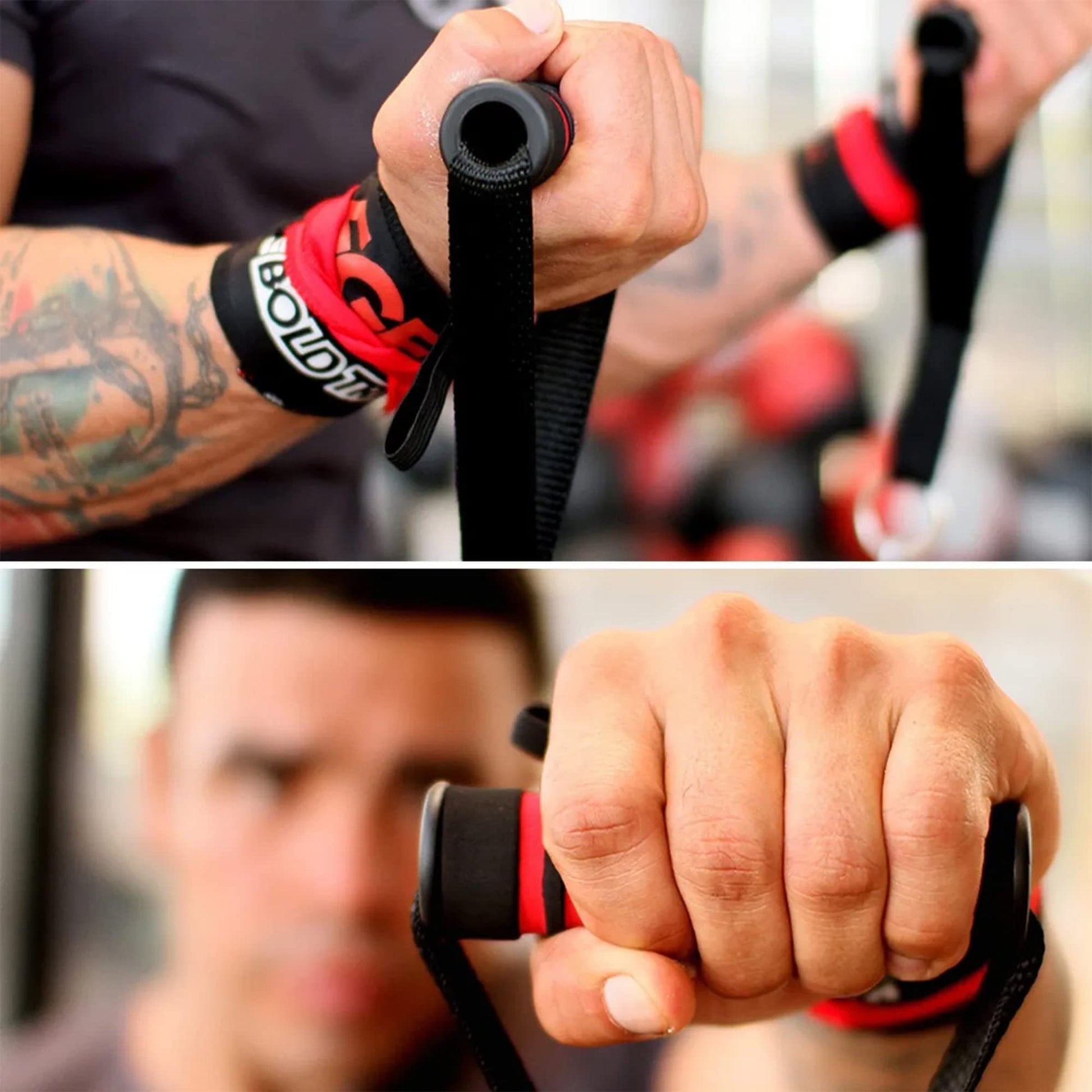 BOLD TRIBE Set Completo Tribe Pack con 14 Piezas - 6 Ligas de Resistencia Tubulares - 155 Lbs de Resistencia Combinada - Gym en Casa, Cross Training y Rehabilitación - Gimnasio