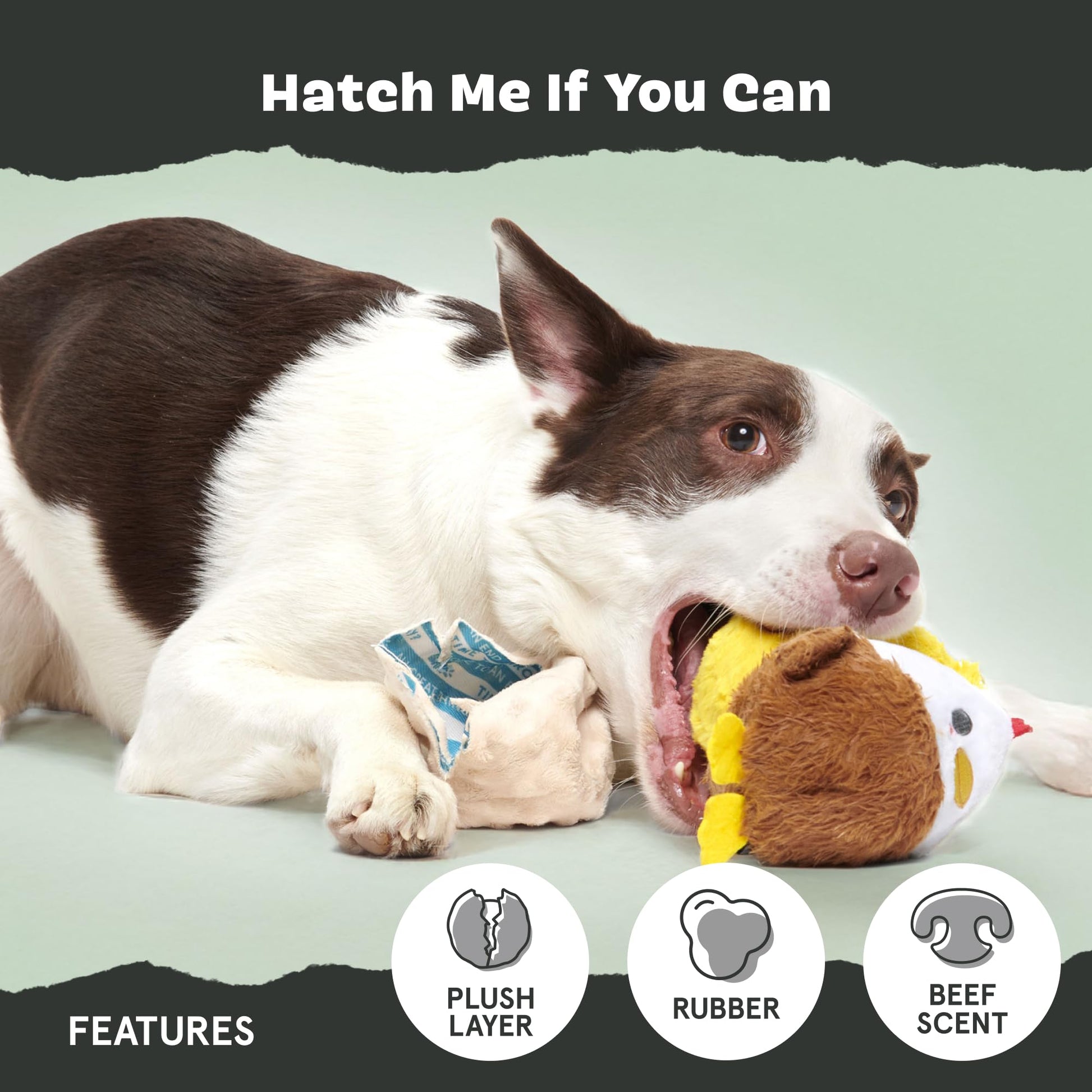 Juguete para Perros BARK Hatch Me If You Can Verde Desgarrable para Masticadores Agresivos Medianos a Grandes