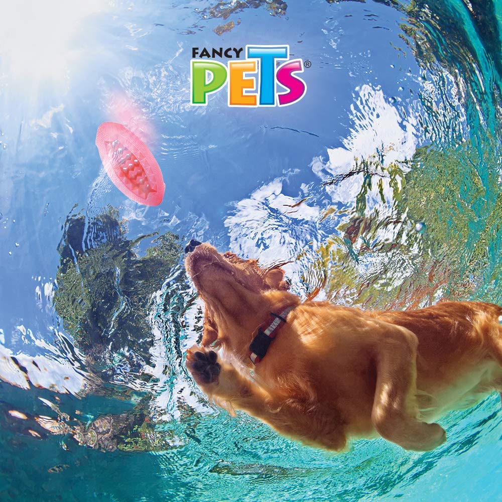 Fancy Pets Juguete Chew Balón de Americano Masticable para Perro Tamaño Grande