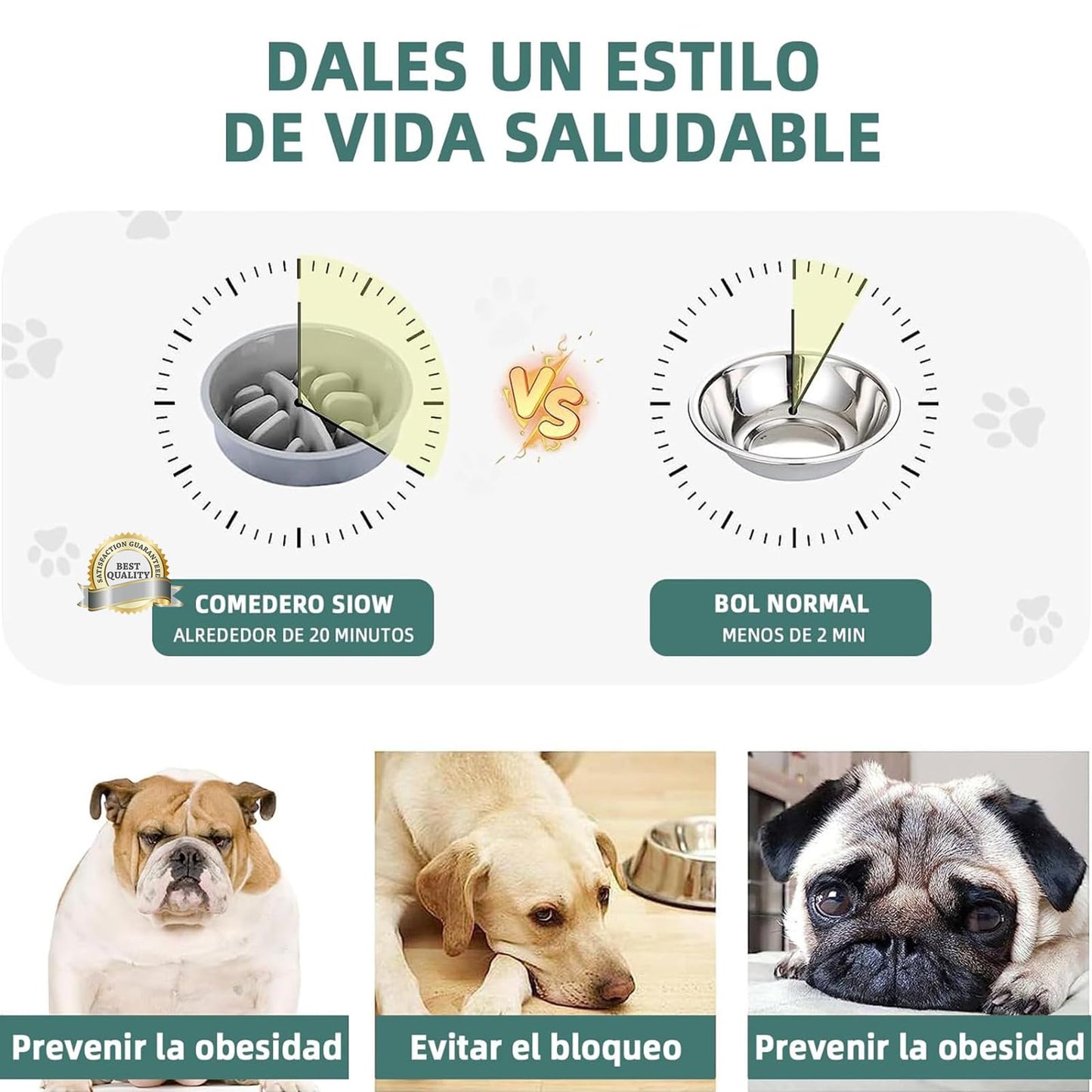 Cuencos Elevados EKEJLI Negro para Perros Medianos y Grandes Ajustables y Portátiles