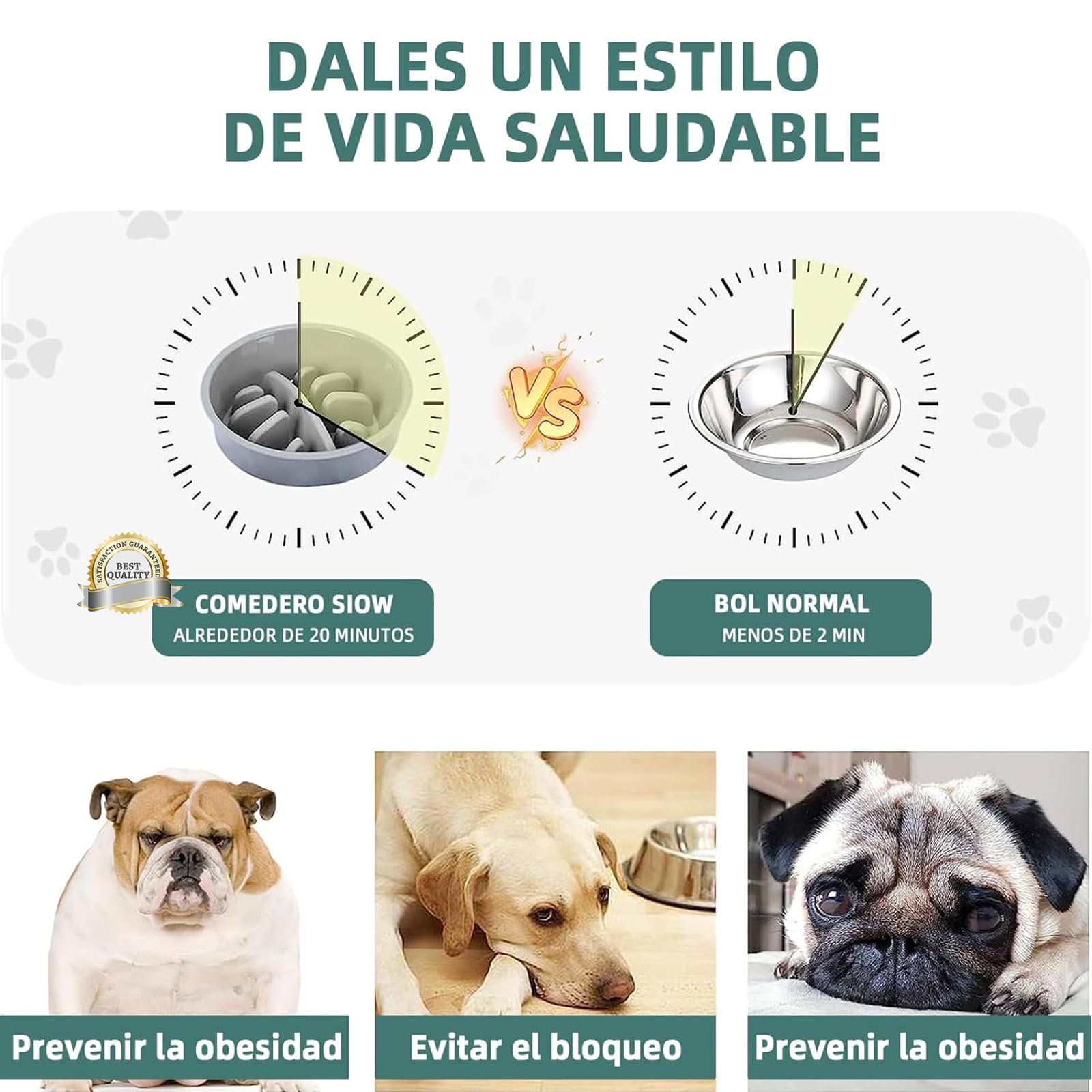 Cuencos Elevados EKEJLI Negro para Perros Medianos y Grandes Ajustables y Portátiles