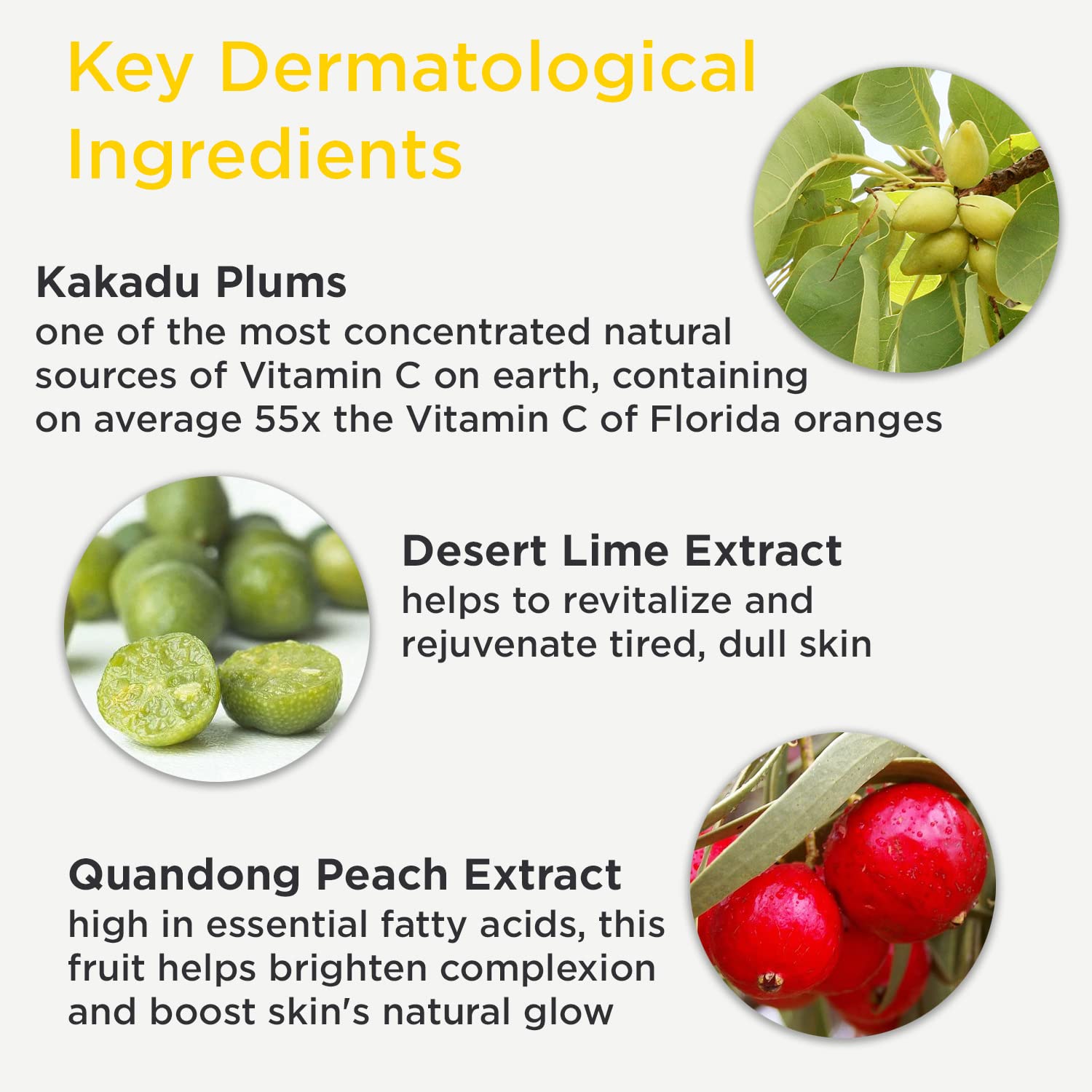 Dermadoctor Kakadu C Face Crème, 1 Oz