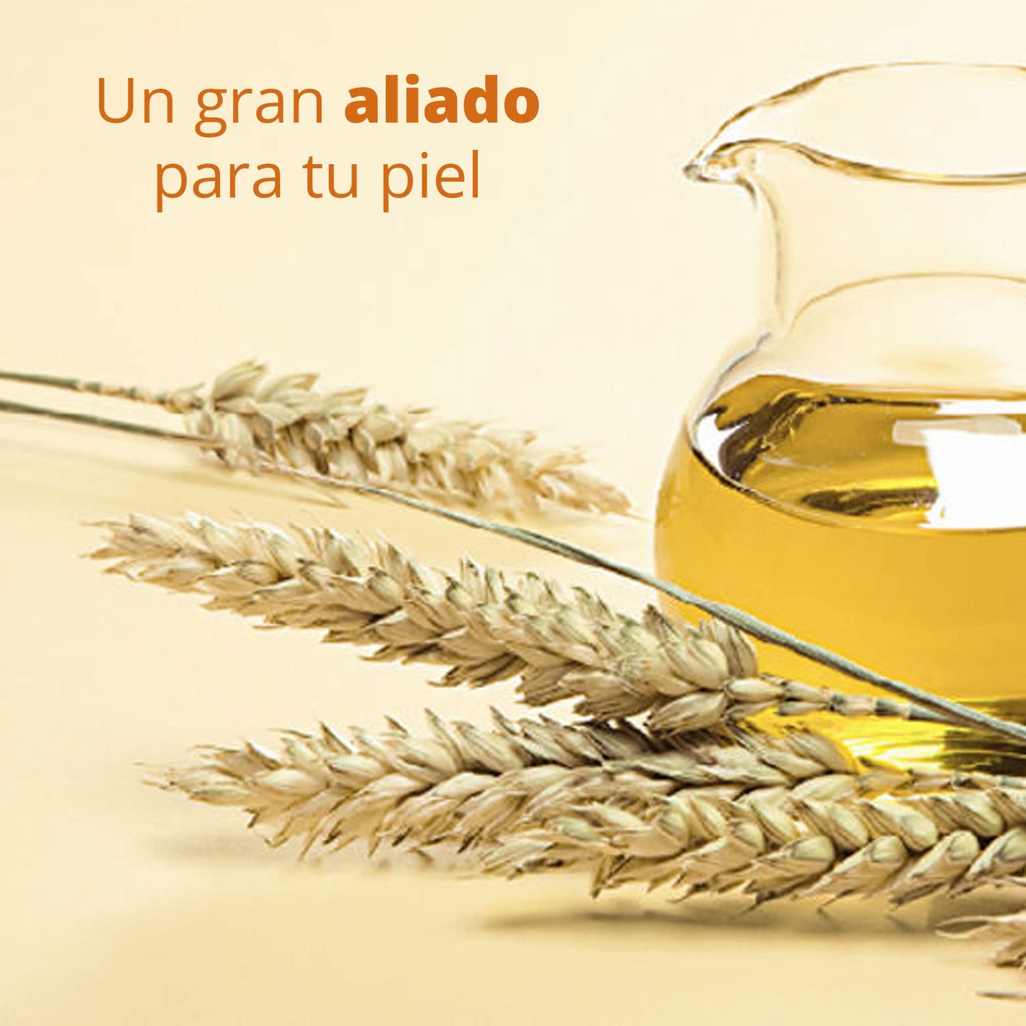 Hand Soap 5 Lts | Jab?n L?quido para Manos y Cuerpo Biodegradable sin Parabenos Fosfatos y Colorantes con Emolientes y Humectantes Aromatizado con Aceite Esencial de Germen de Trigo que Aporta