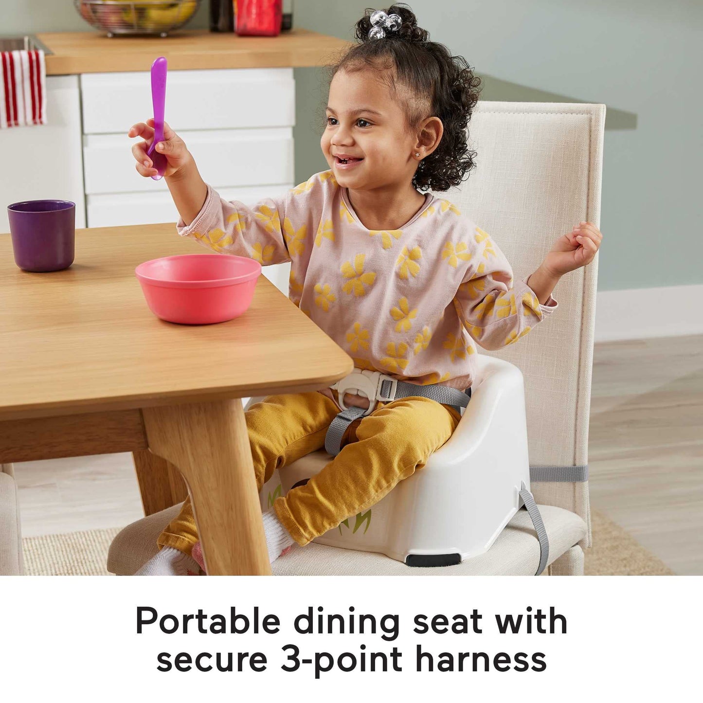 FISHER-PRICE BABY, Fisher-Price Simple Clean & Comfort Booster