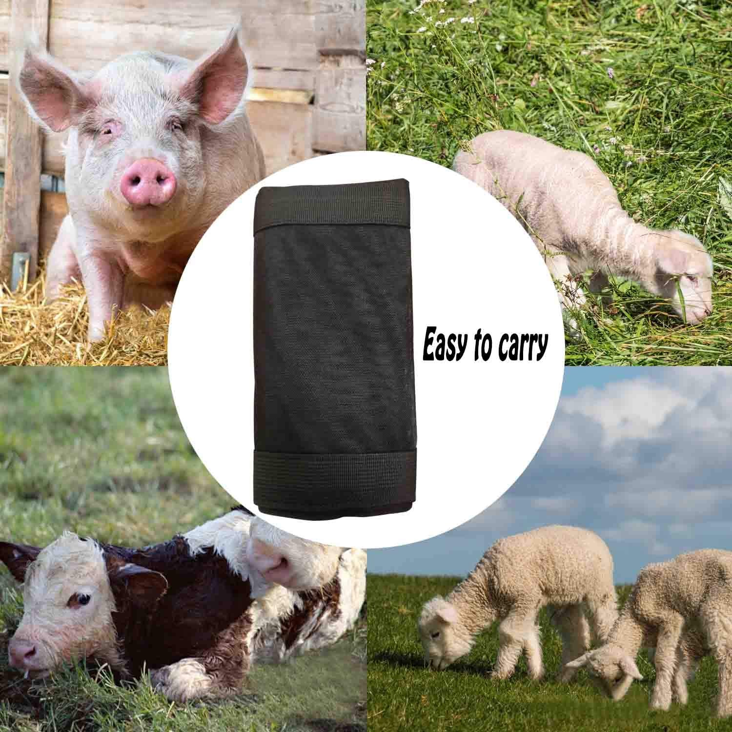 GABraden Eslinga de Pantorrilla para Pesar Animales pequeños, Correa de Ganado, báscula para Colgar, báscula de Pantorrilla para Colgar báscula de Peso