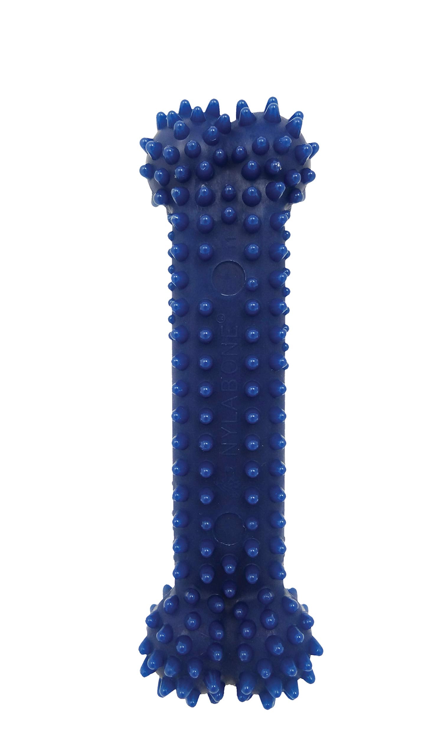 Hueso Flexi Nylabone Regular
