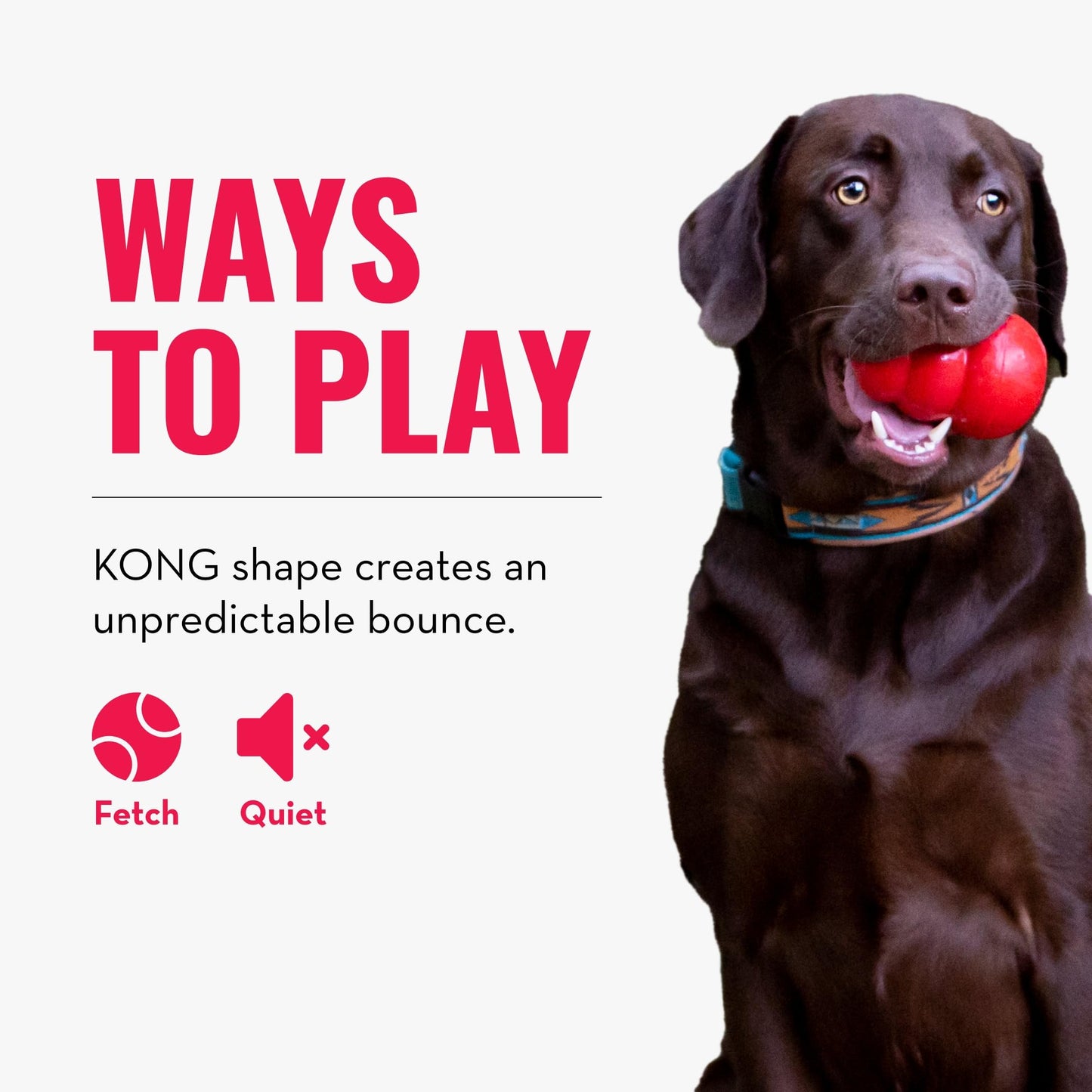 Kong Juguete Rebotador extra grande para Perro