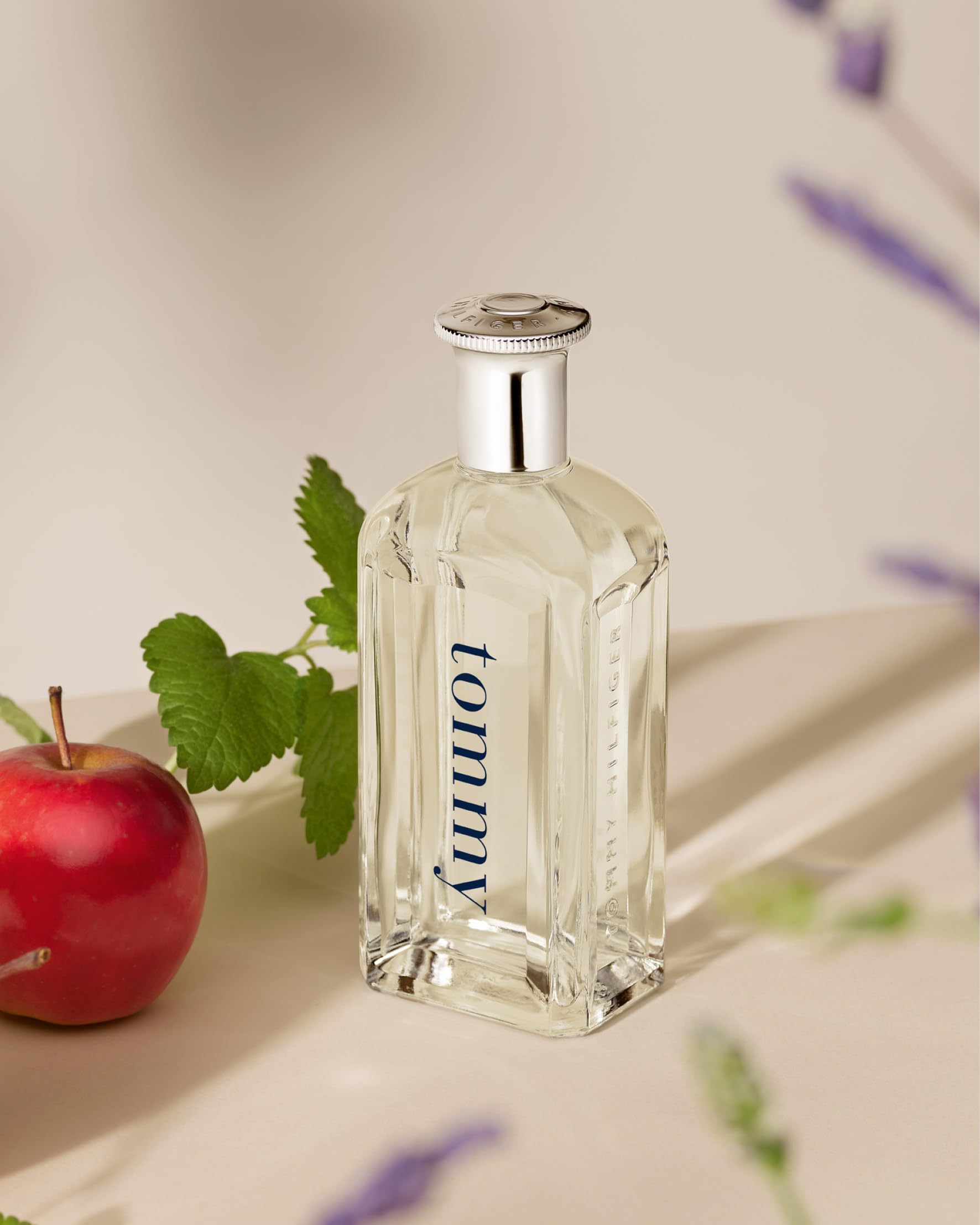 Eau de Toilette Tommy Hilfiger Hombre 100 ml Cítrico Aromático Versátil y Energizante