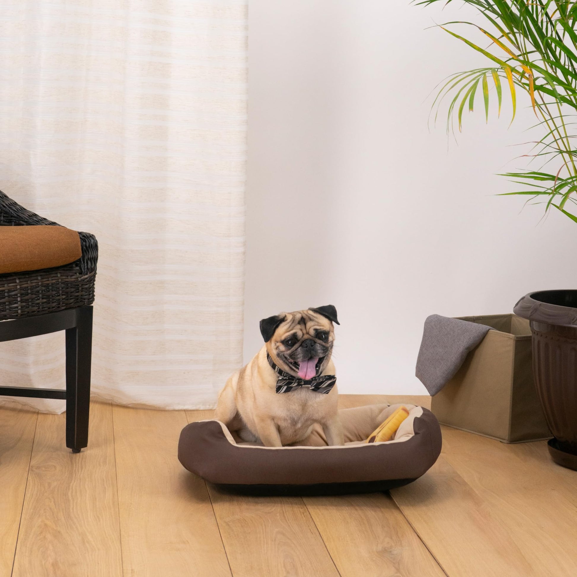 Cama para Perro Hills Cafe Beige Resistente y Confortable con Relleno Suave en Tallas a Elegir